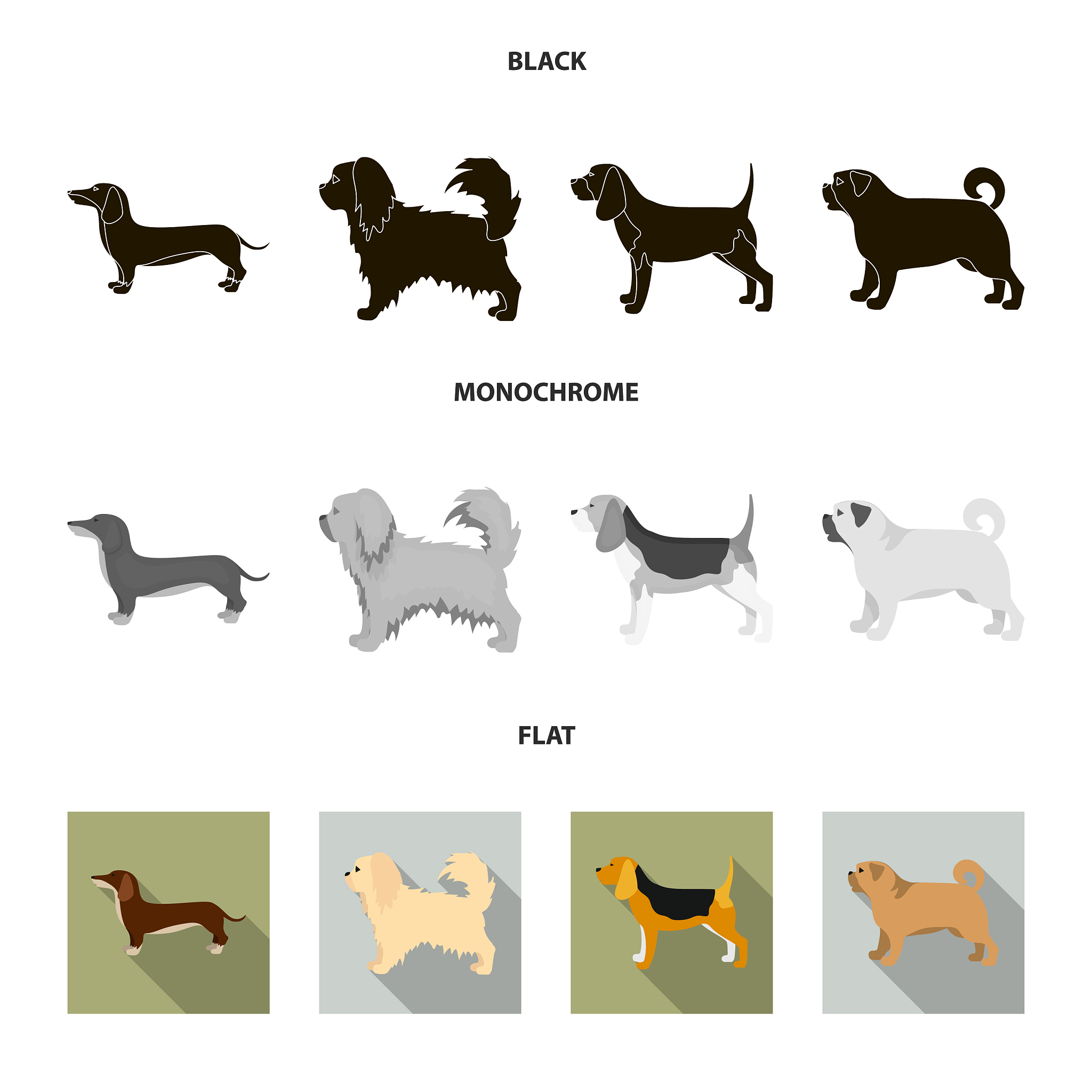 狗狗能陪伴我们多久？不同体型犬类寿命大揭秘
