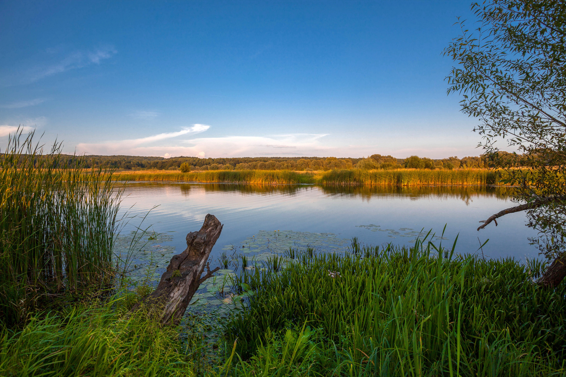 哈巴湖生态旅游区,宁夏沙漠明珠,原生态自然景观,丰富生物资源,深厚