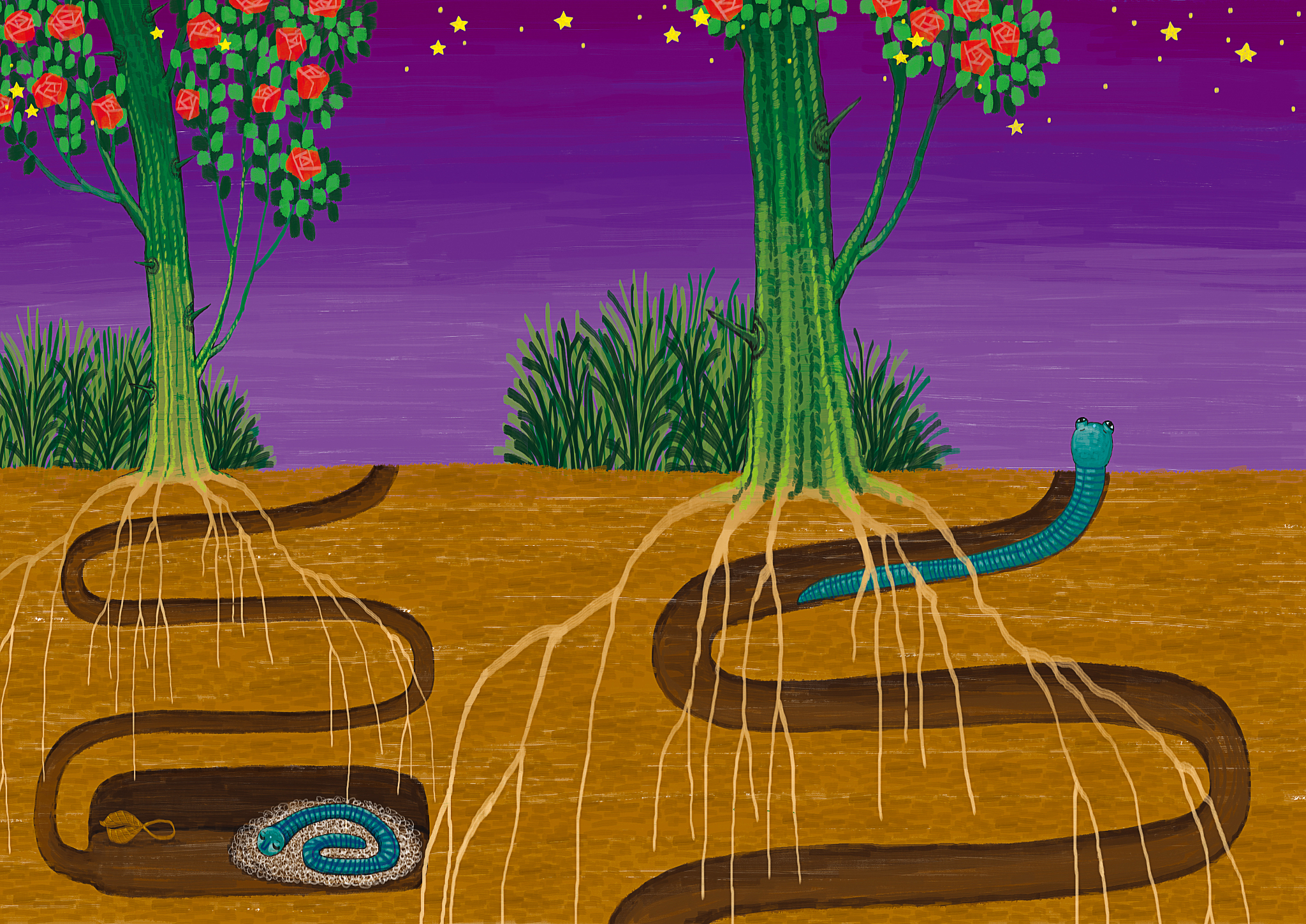 蚯蚓中地龙蛋白的含量会因蚯蚓的种类,生长环境等因素而有所不同