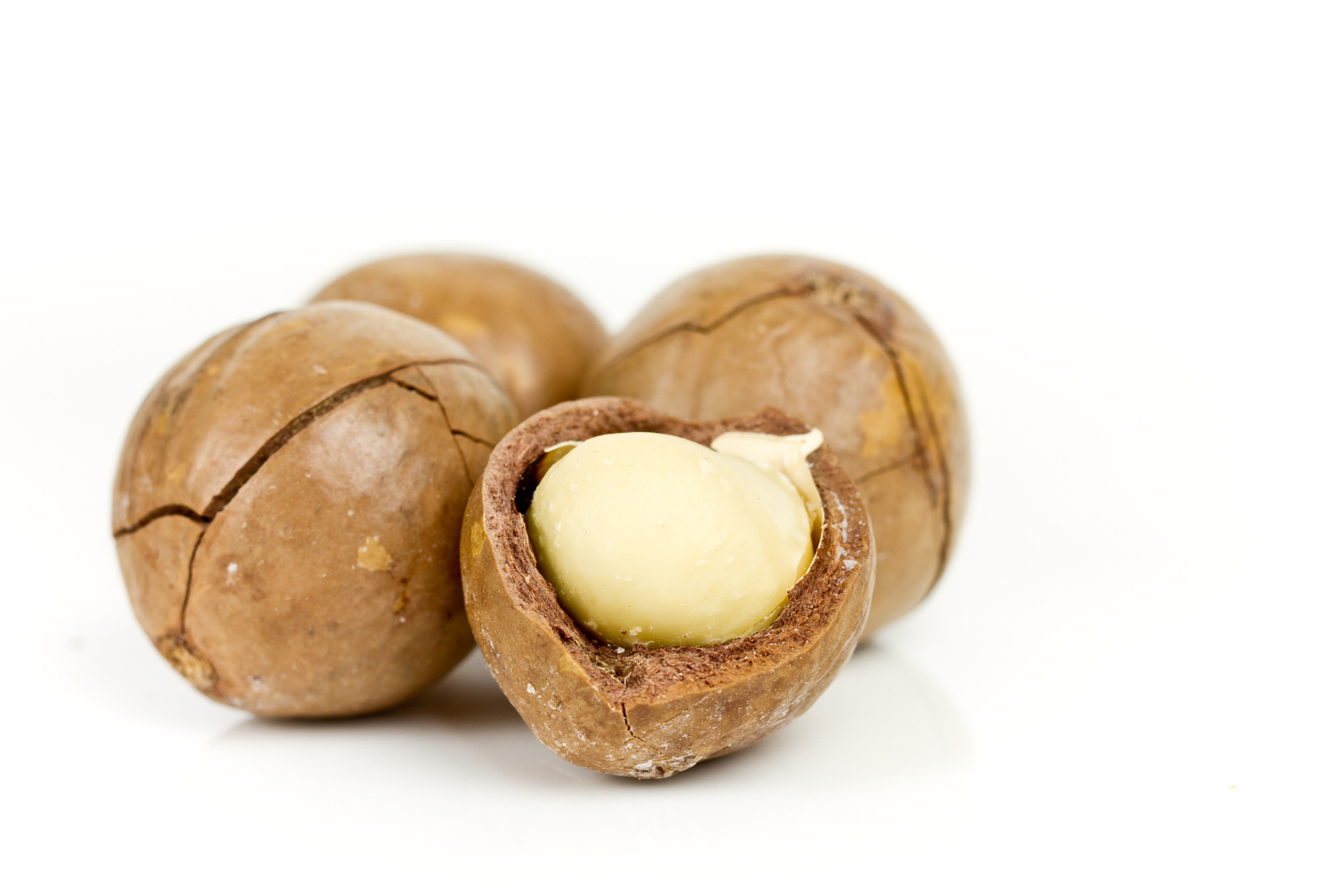 榛子和夏威夷果在外观,口感,营养价值和用途等方面都有所不同.