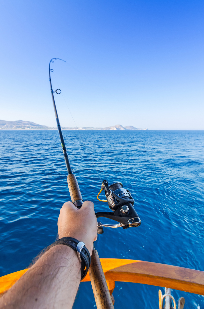 鲈鱼#  海钓鲈鱼是一项受欢迎的海洋娱乐活动,以下是一些钓鲈鱼的