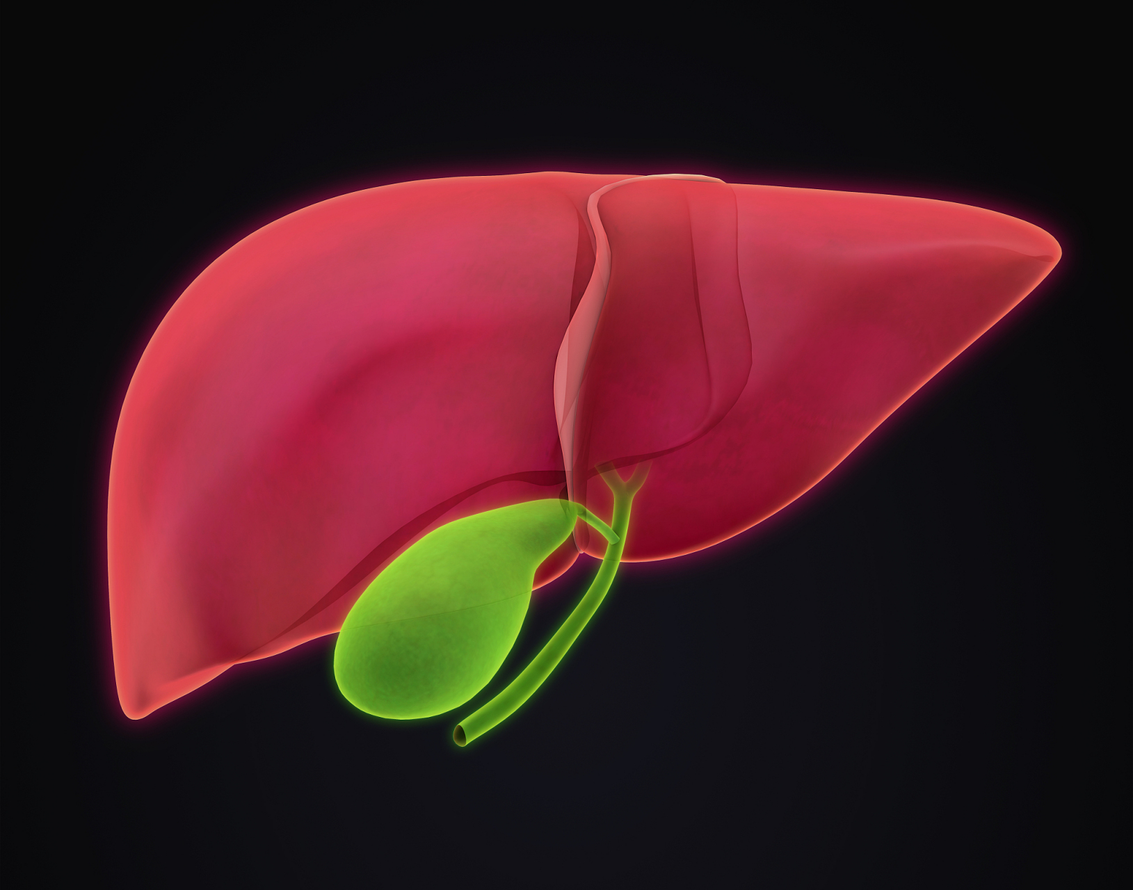据临床研究表明,胆囊切除之后,会有40%的概率出现一些长期的症状