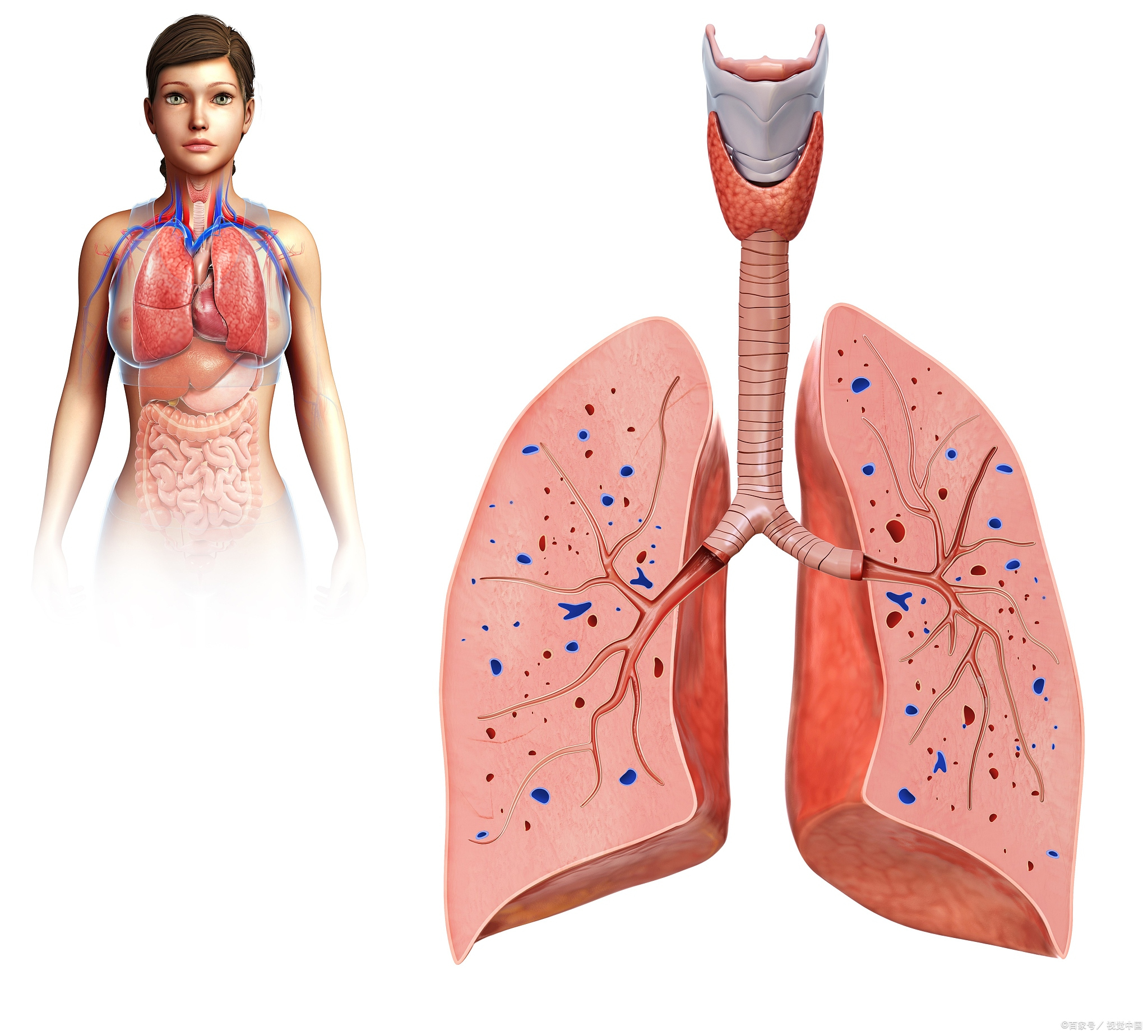 其实炸肺并不是我们想的那样肺爆炸.