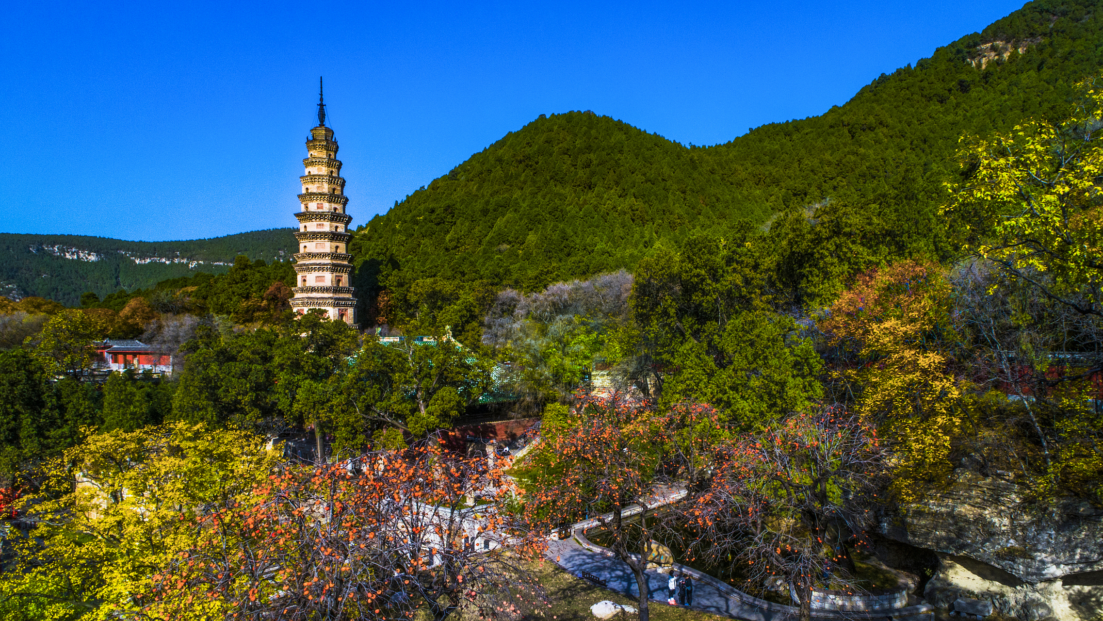灵岩寺——泰山西北麓的佛教圣地  灵岩寺,位于山东省济南市长清区
