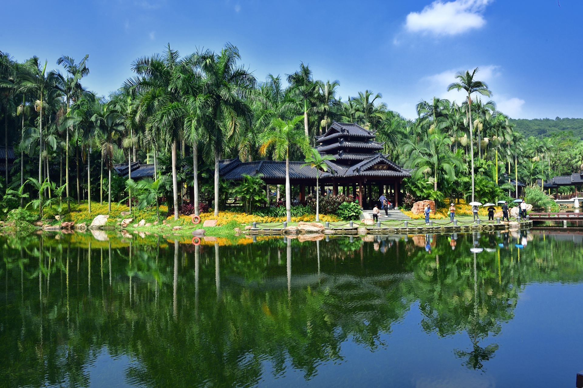 名树博览园,伊岭岩和九龙瀑布群国家森林公园等景点,丰富自然景观和