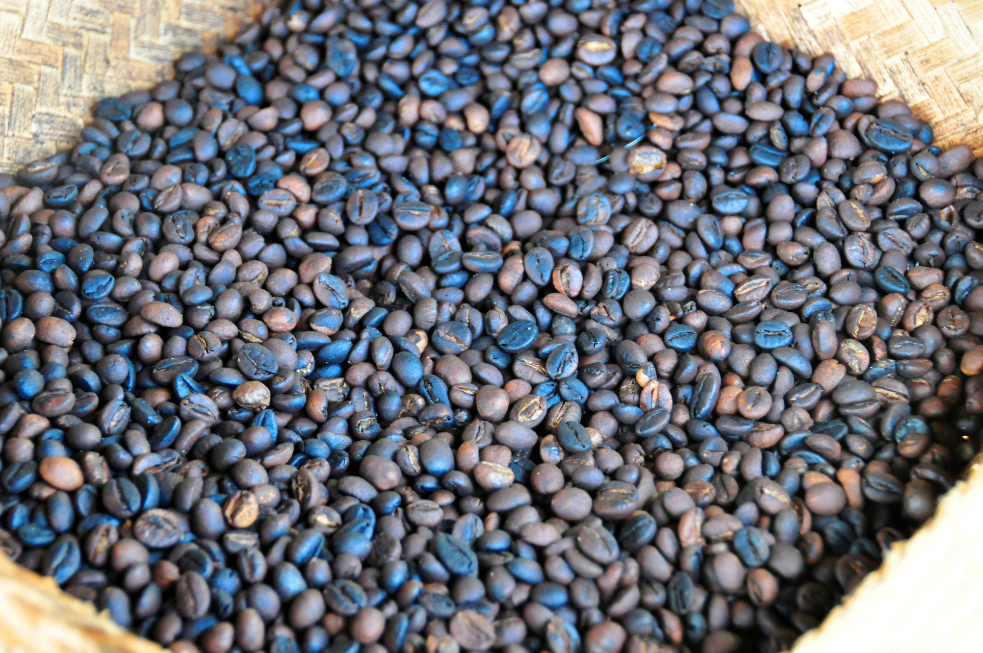 沙苑子功效与作用,提升男士魅力少不了 沙苑子,又被称为"沙苑蒺藜",是