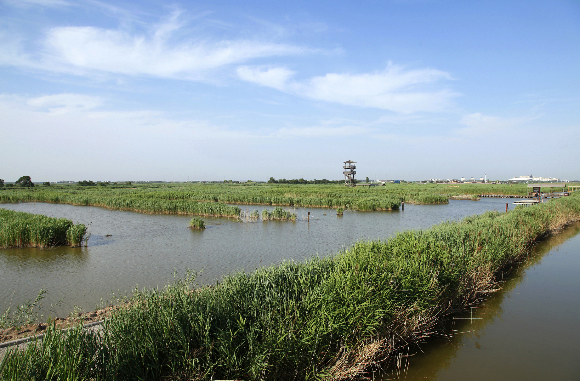 位于江苏的洪泽湖湿地公园,是国家aaaa级旅游景区,也是中国十大生态