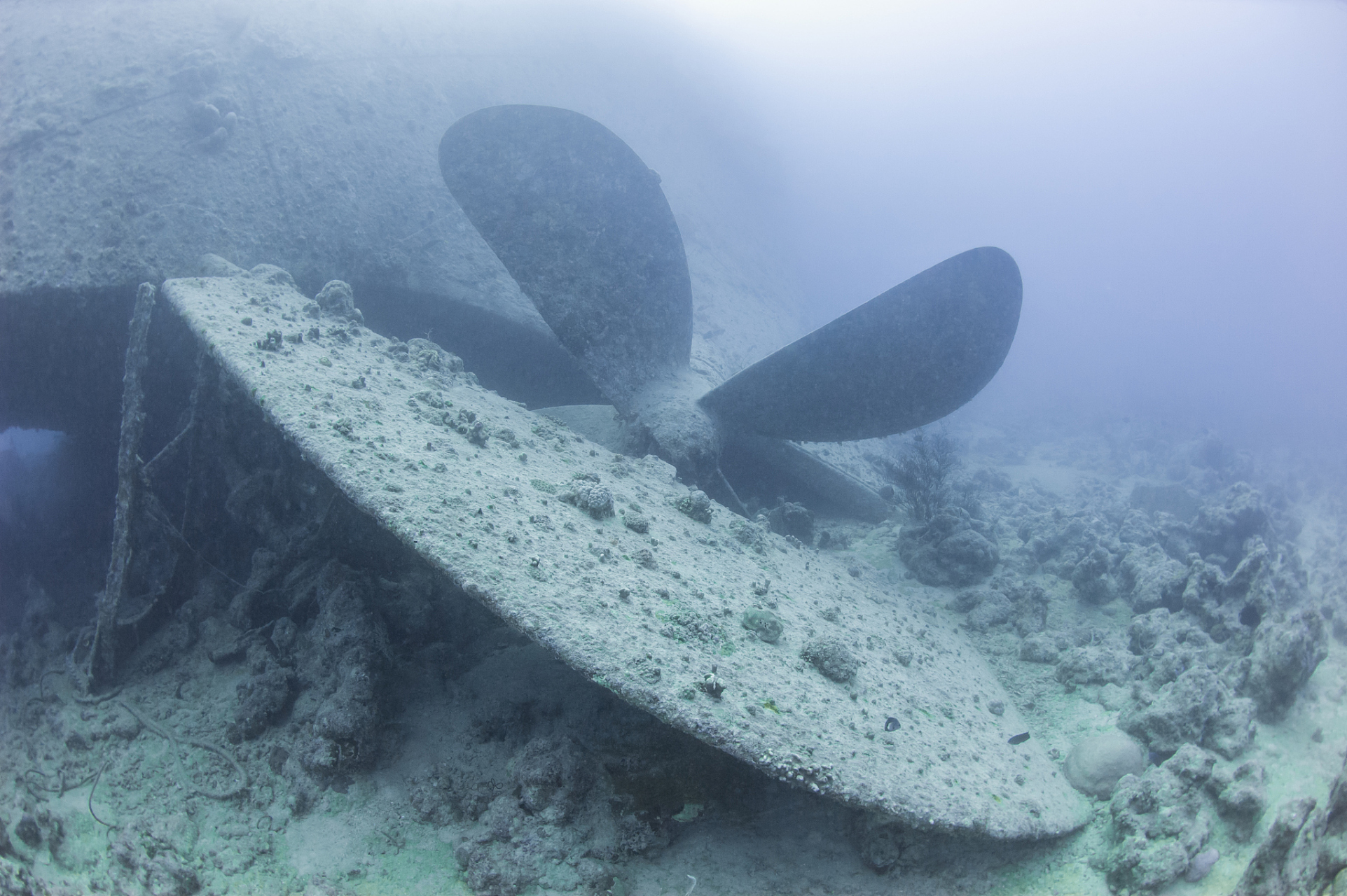 百慕大三角洲是一个充满神秘和危险的区域,许多飞机和船只在这里离奇