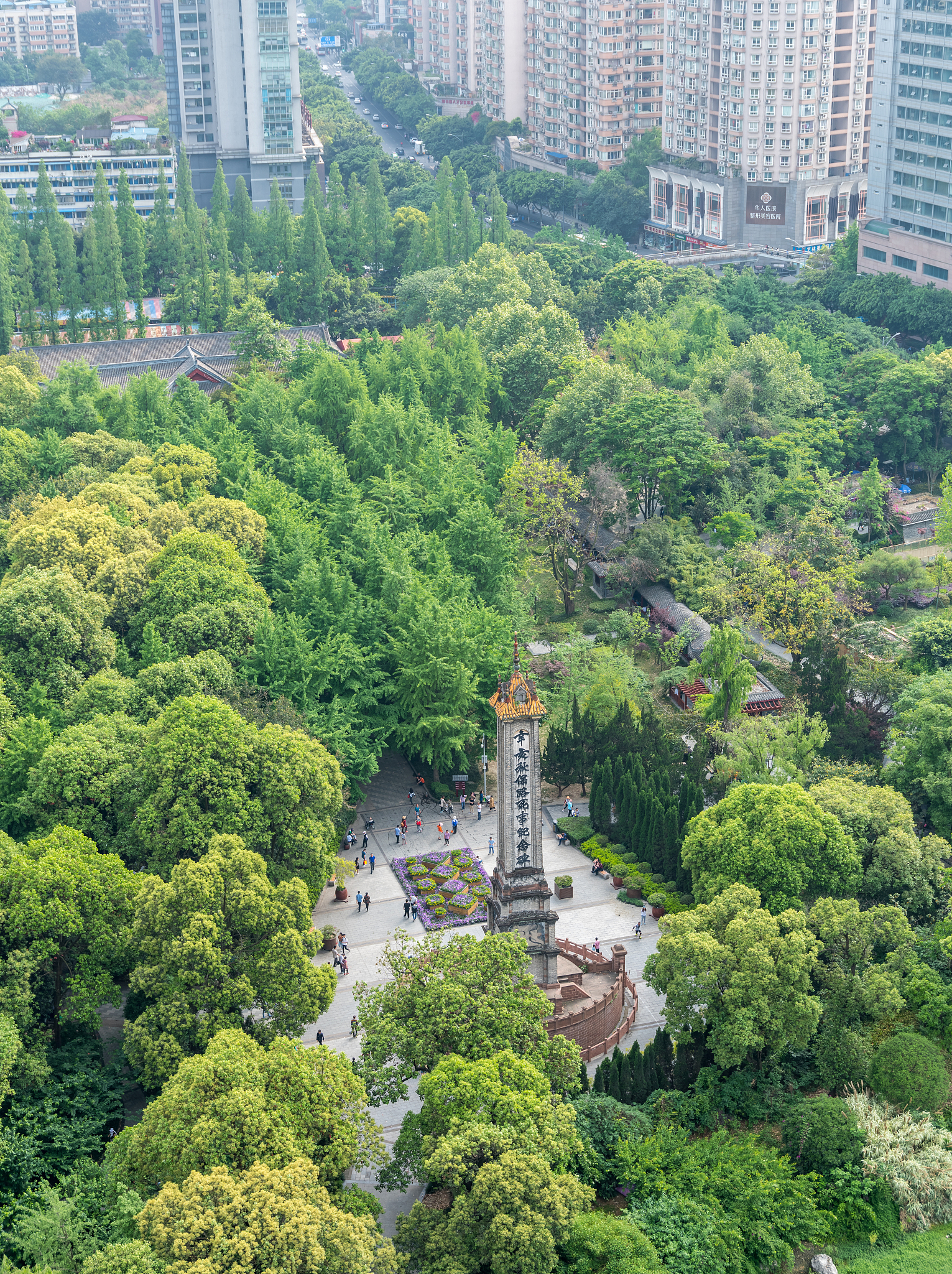 青秀山风景区照片图片