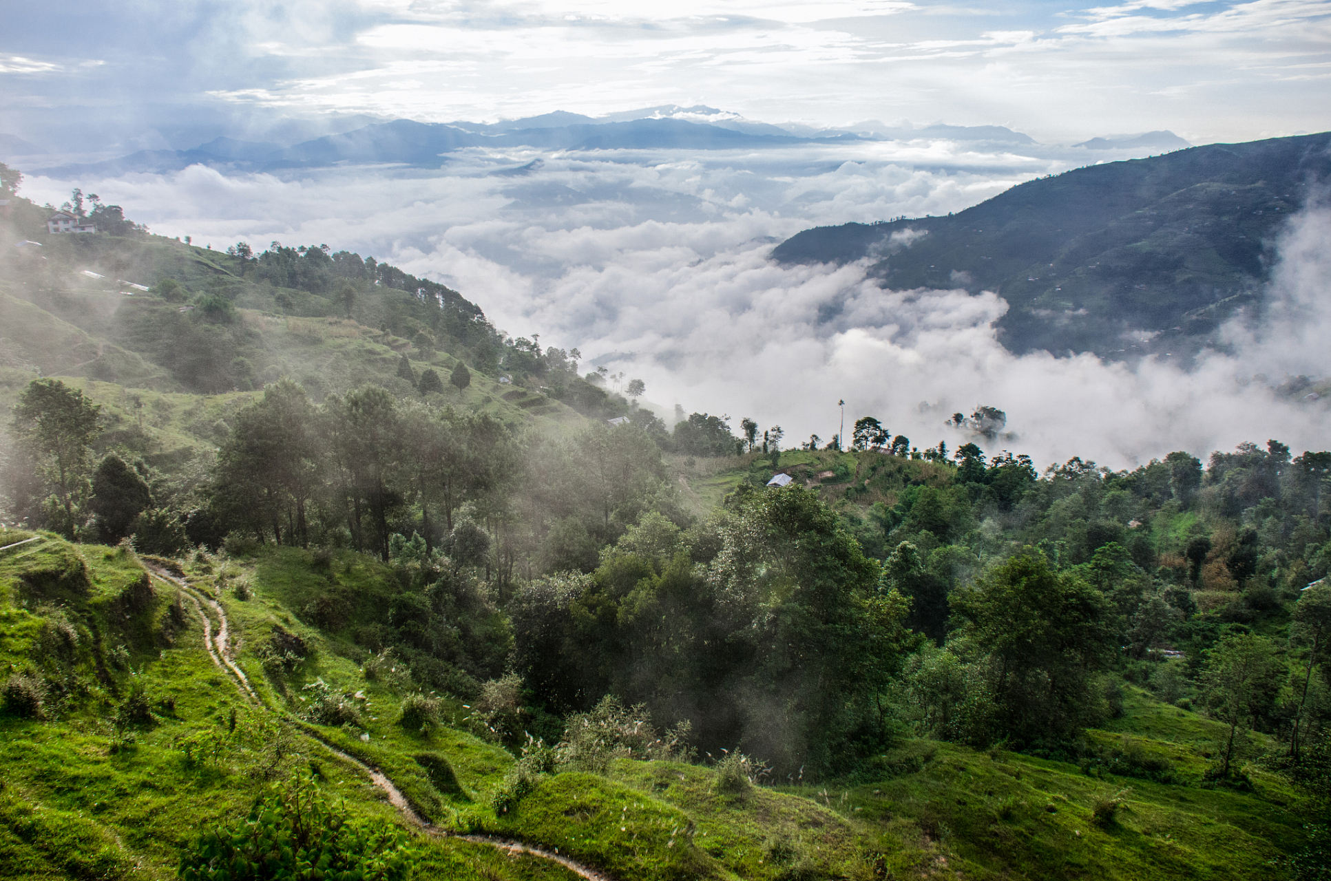 哀牢山,彝语意为"虎豹出没的地方",这座绵延一千公里的山脉横亘于云南
