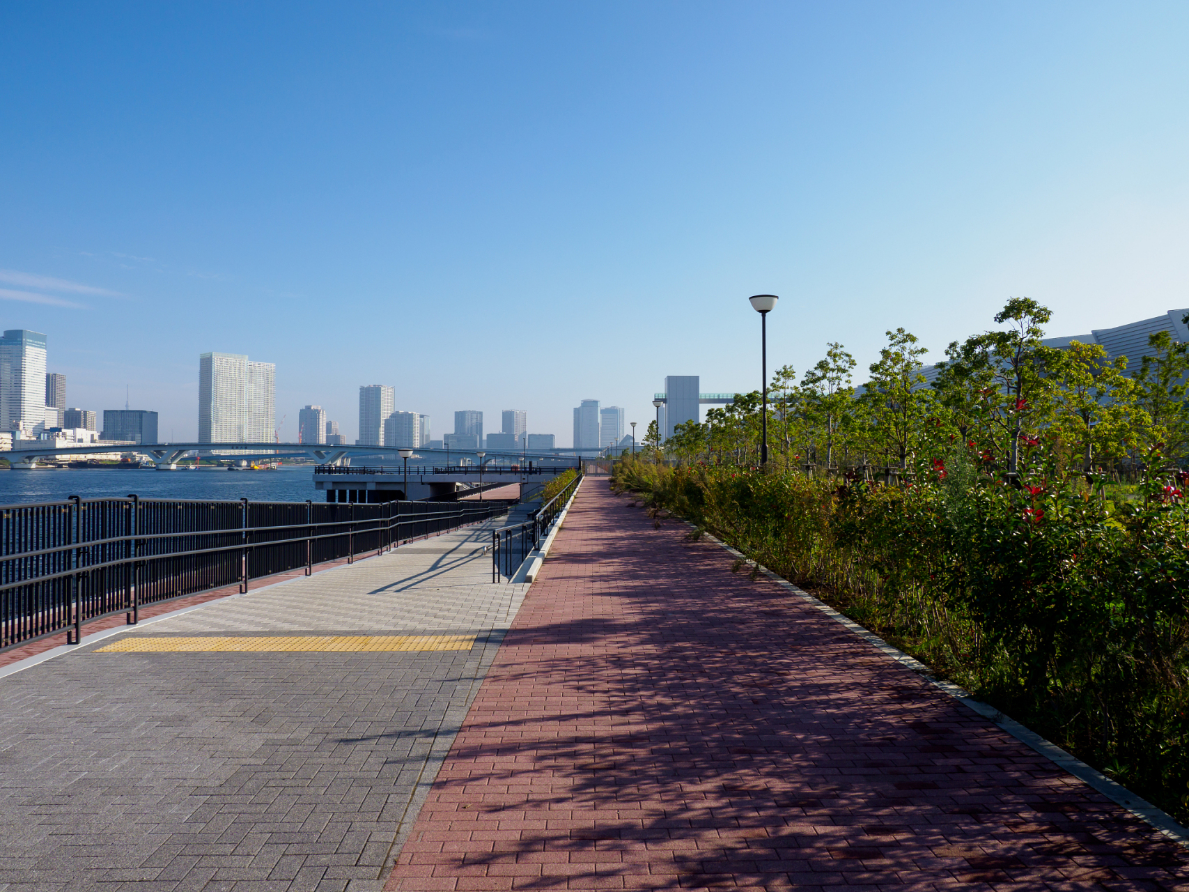 美丽的江滨公园图片