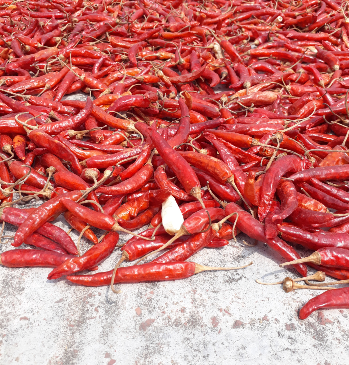 这里自古就是物产丰饶之地,而最能代表其风土人情的,则非"兴平辣椒"