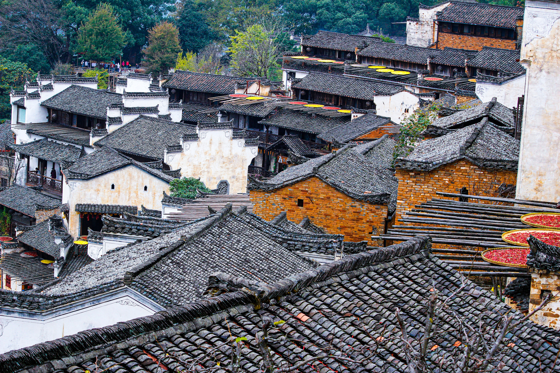 99 位于江西的这片古老村落,仿佛带我穿越回了古代,感受到了浓厚的