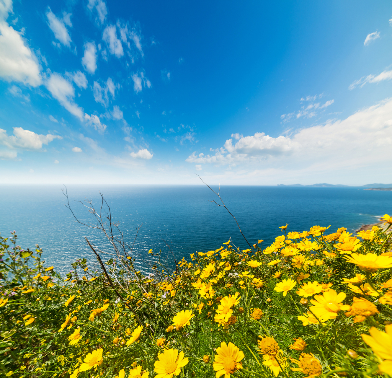 《围城》中的方鸿渐,早期和妻子孙柔嘉之间也是好好说话,仔细聆听