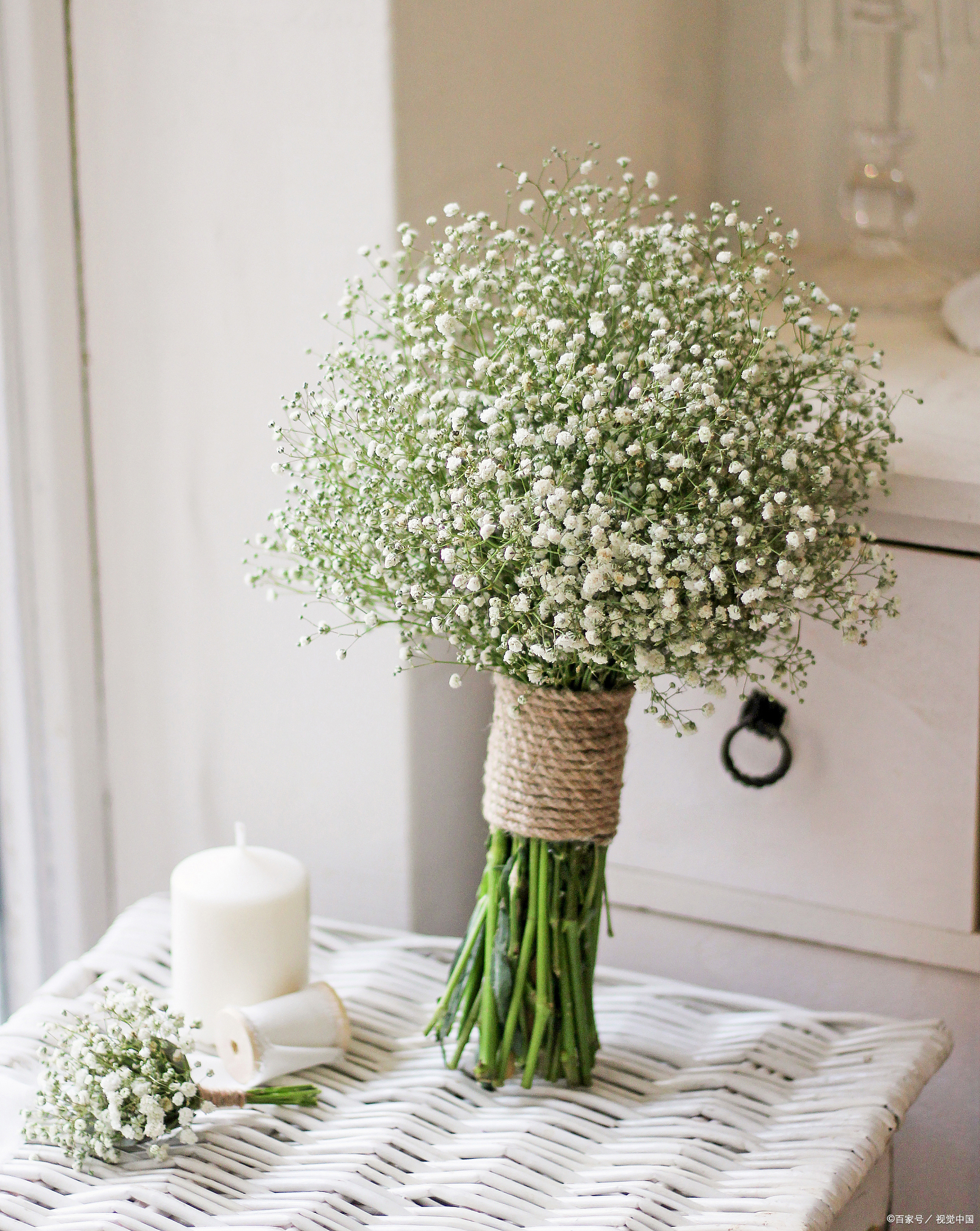 生孩子送什么花?挑选鲜花传递祝福的最佳指南