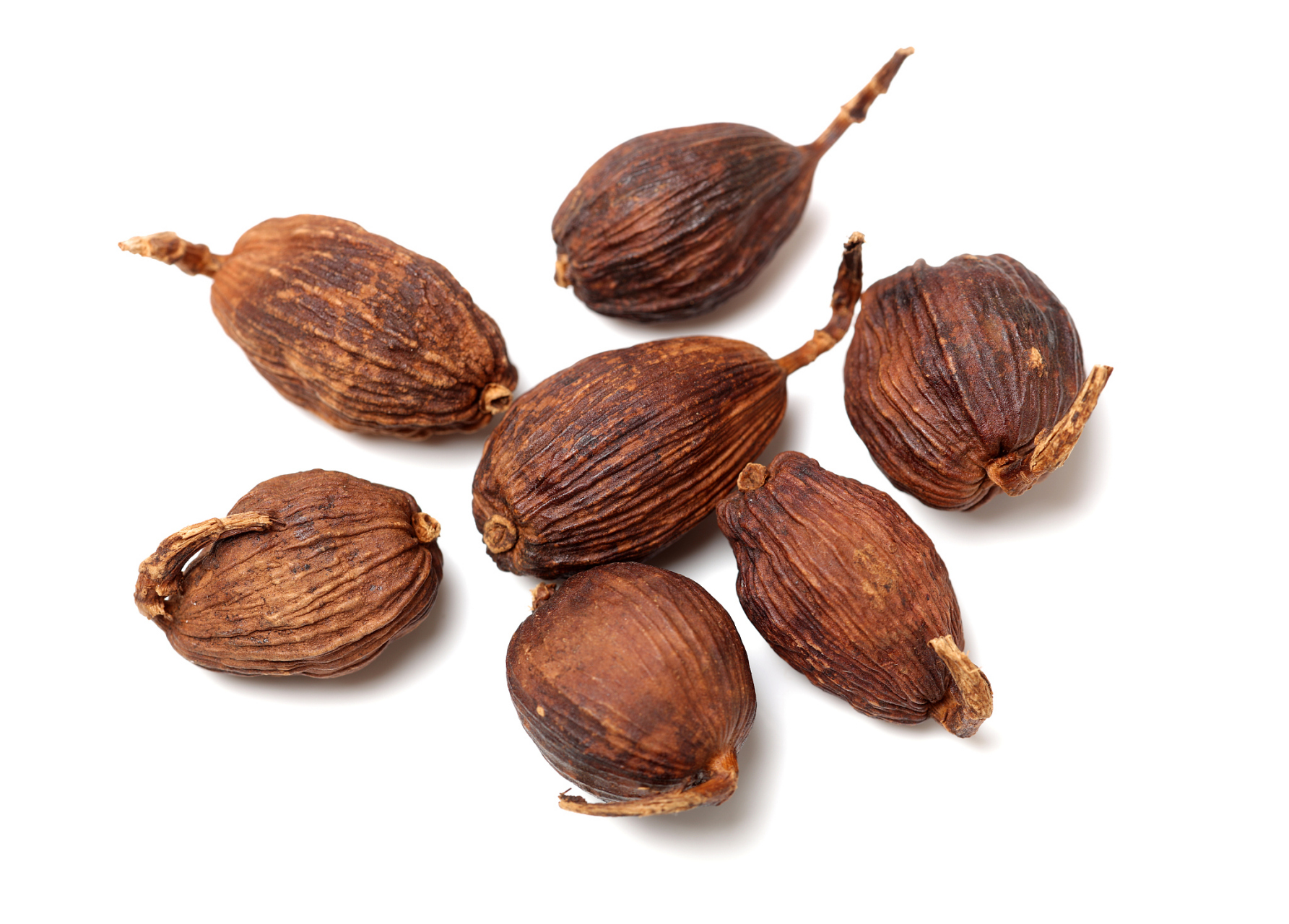 豆蔻是一种具有特殊芳香味的多年生草本植物,可入药和作为调味料或