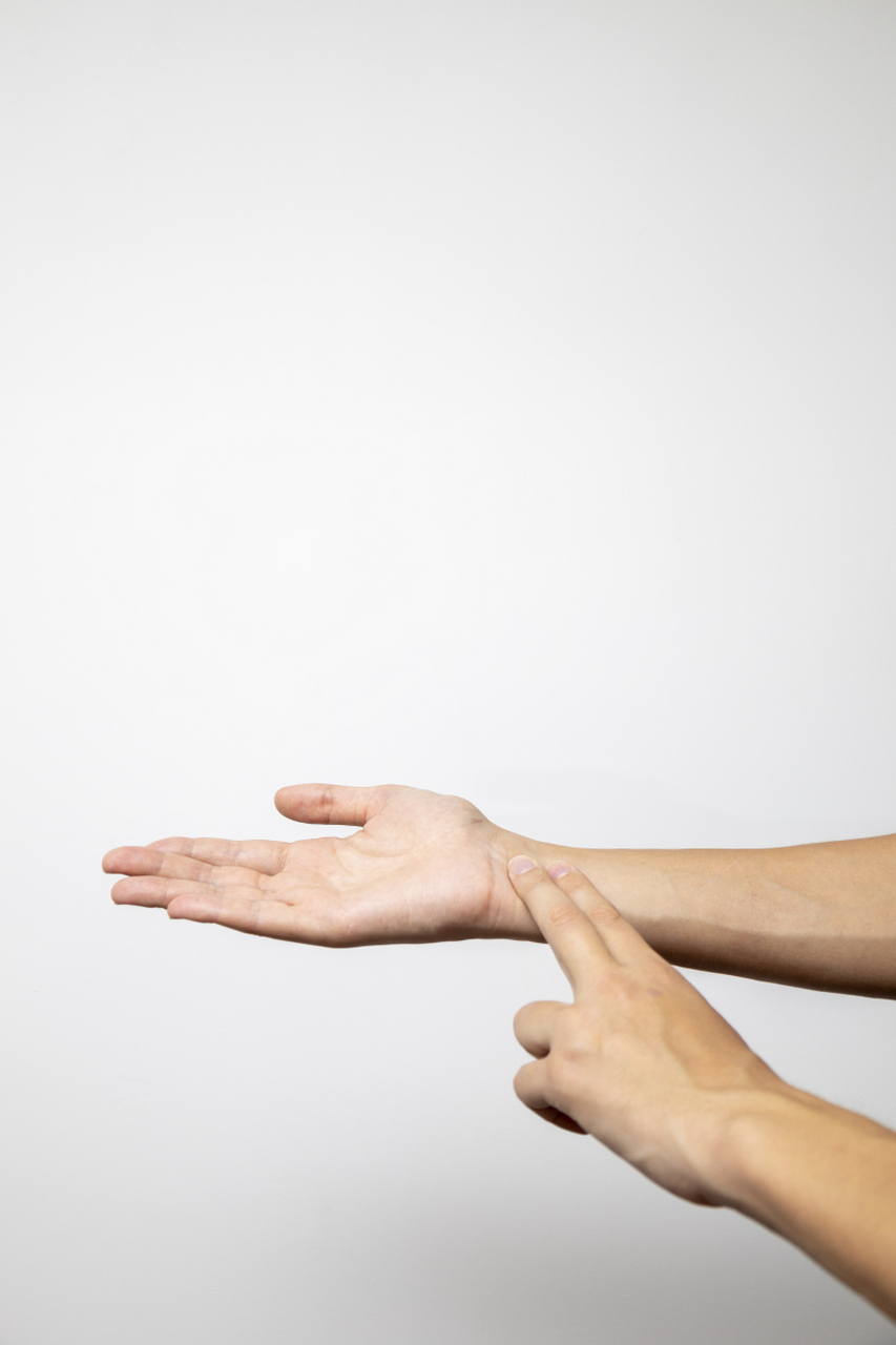 原因是丰富的知识储备,出色的语言表达能力和幽默感,真诚的个人魅力