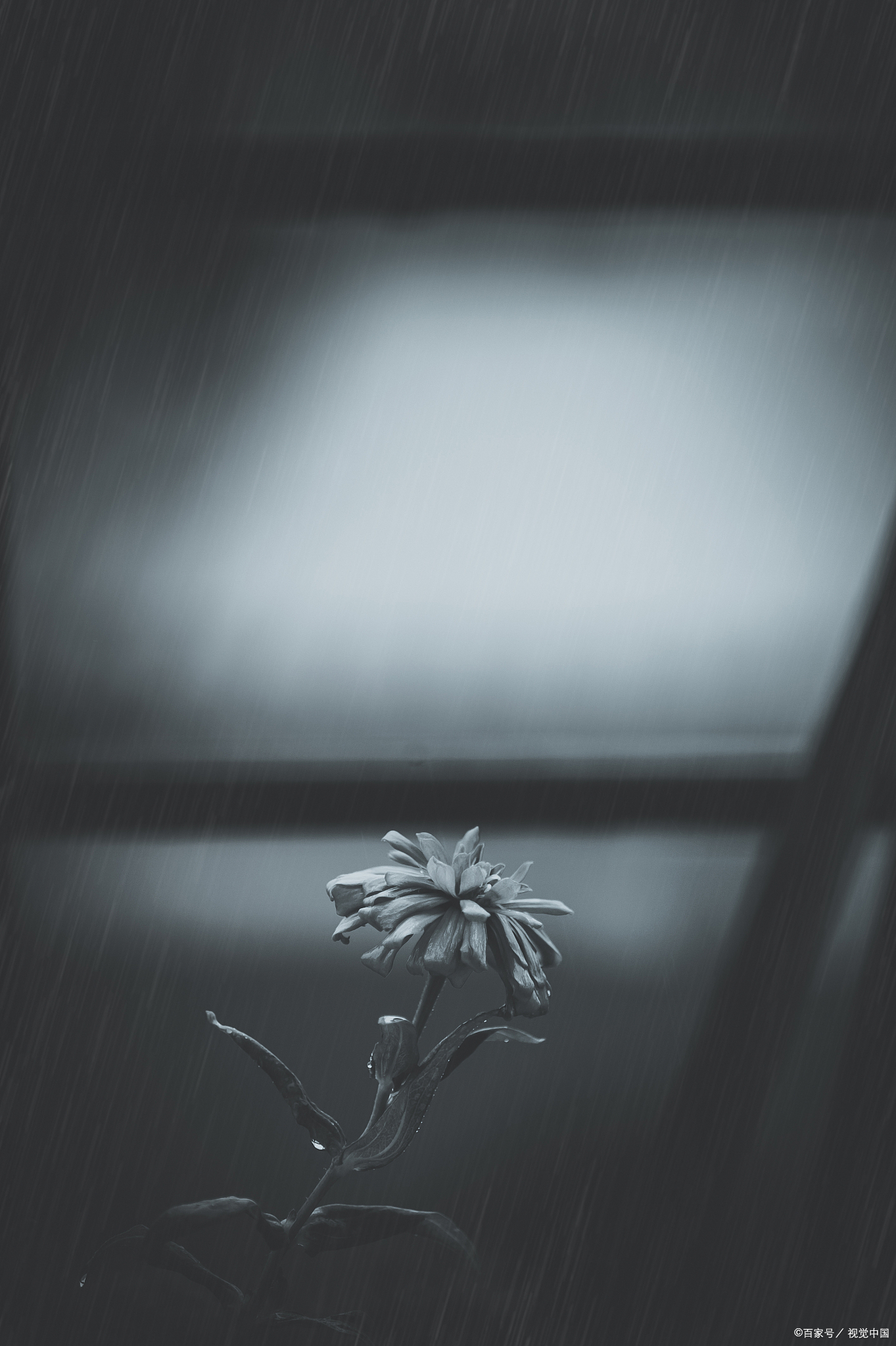 1363_2048竖版 竖屏gif 动态图 动图