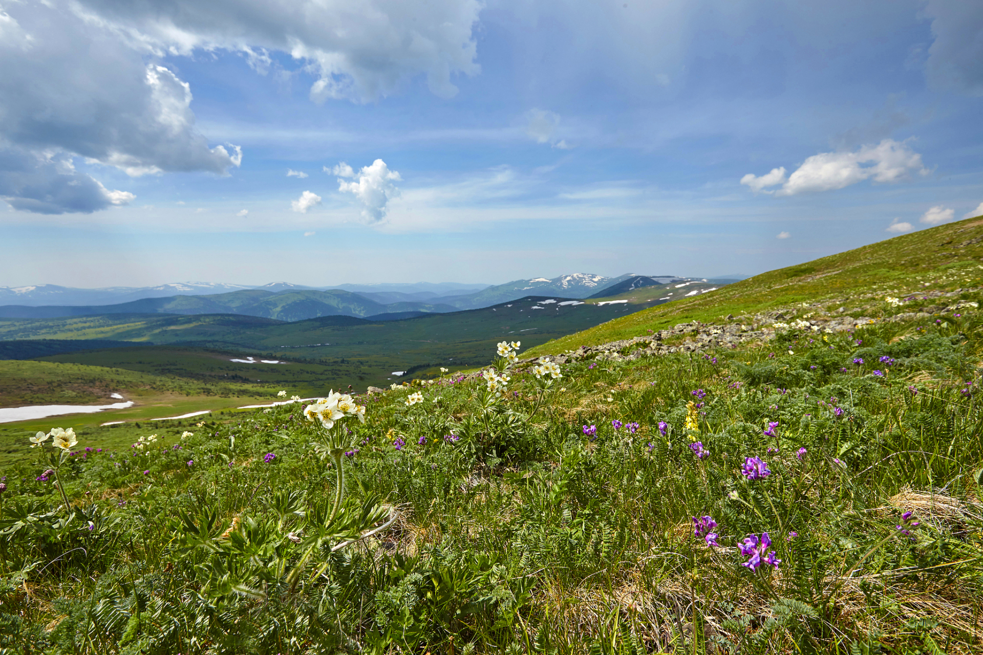 内蒙古黄花沟旅游区,是一处充满神奇传说的高山草原地形,吸引着无数