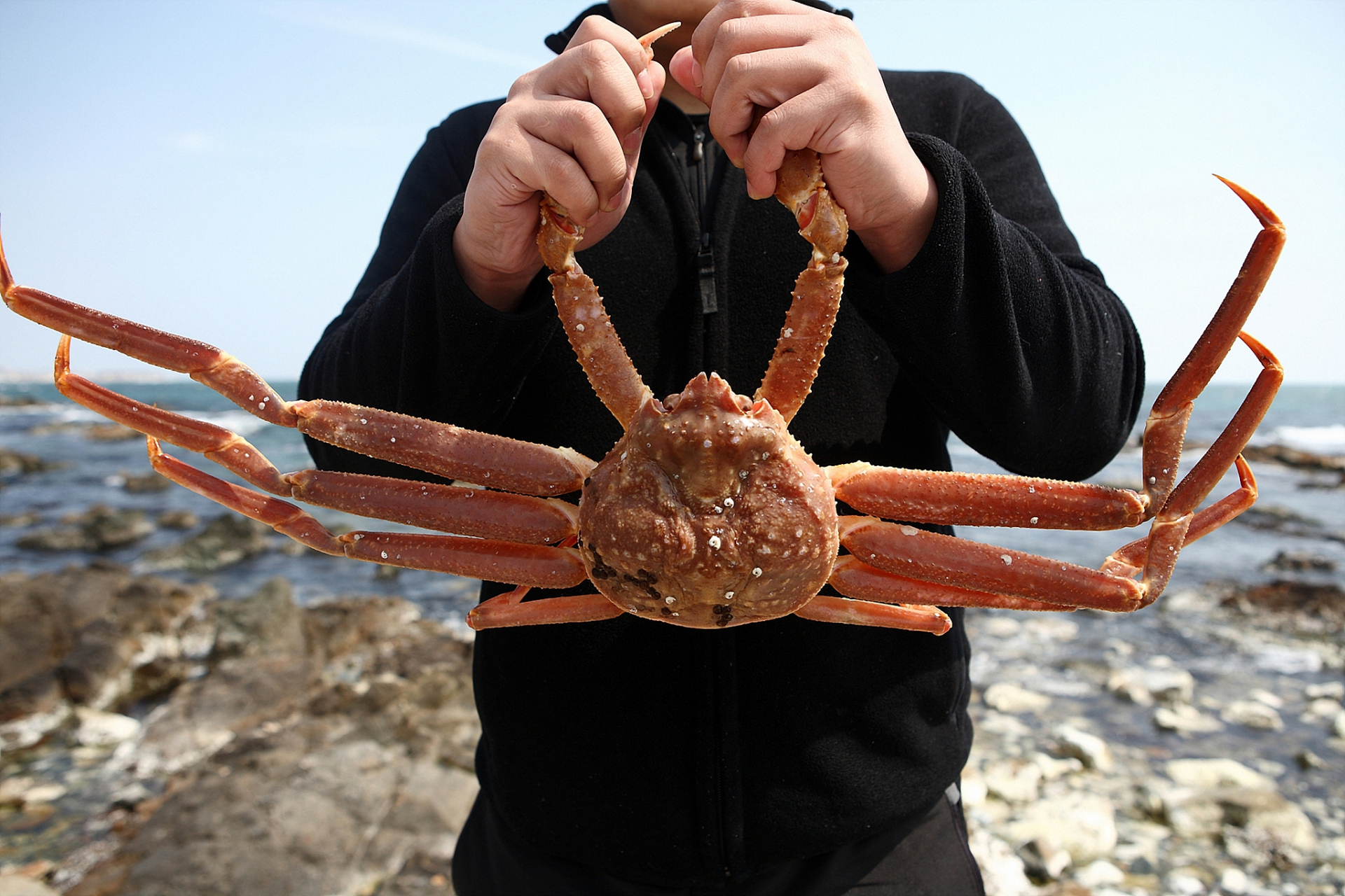 新疆大螃蟹发货了  网友:江浙沪不包邮  9月4日,在新疆阿勒泰地区一