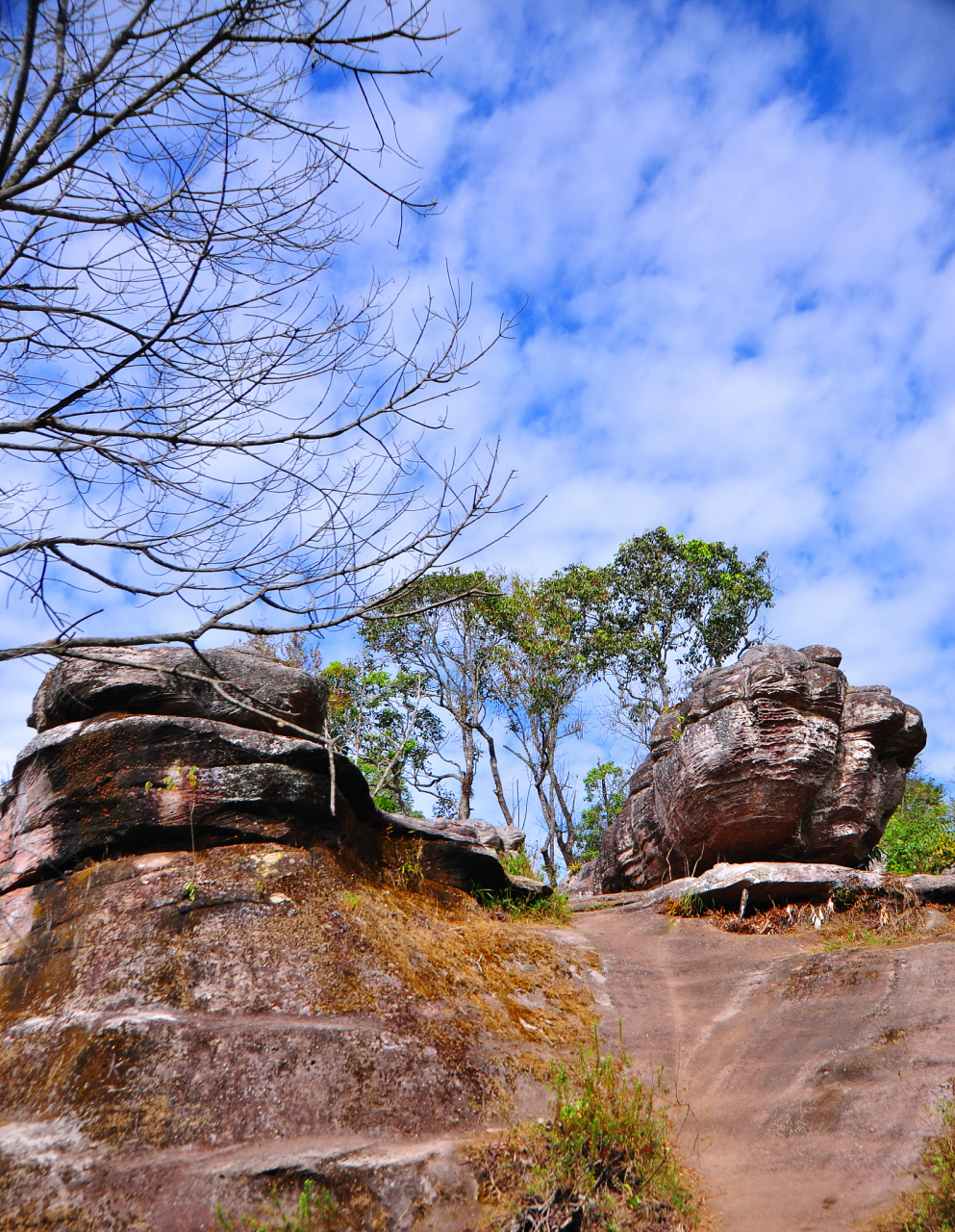 天马山生态旅游区 开放时间:08:00-15:00 建议游玩时间:5小时 2.