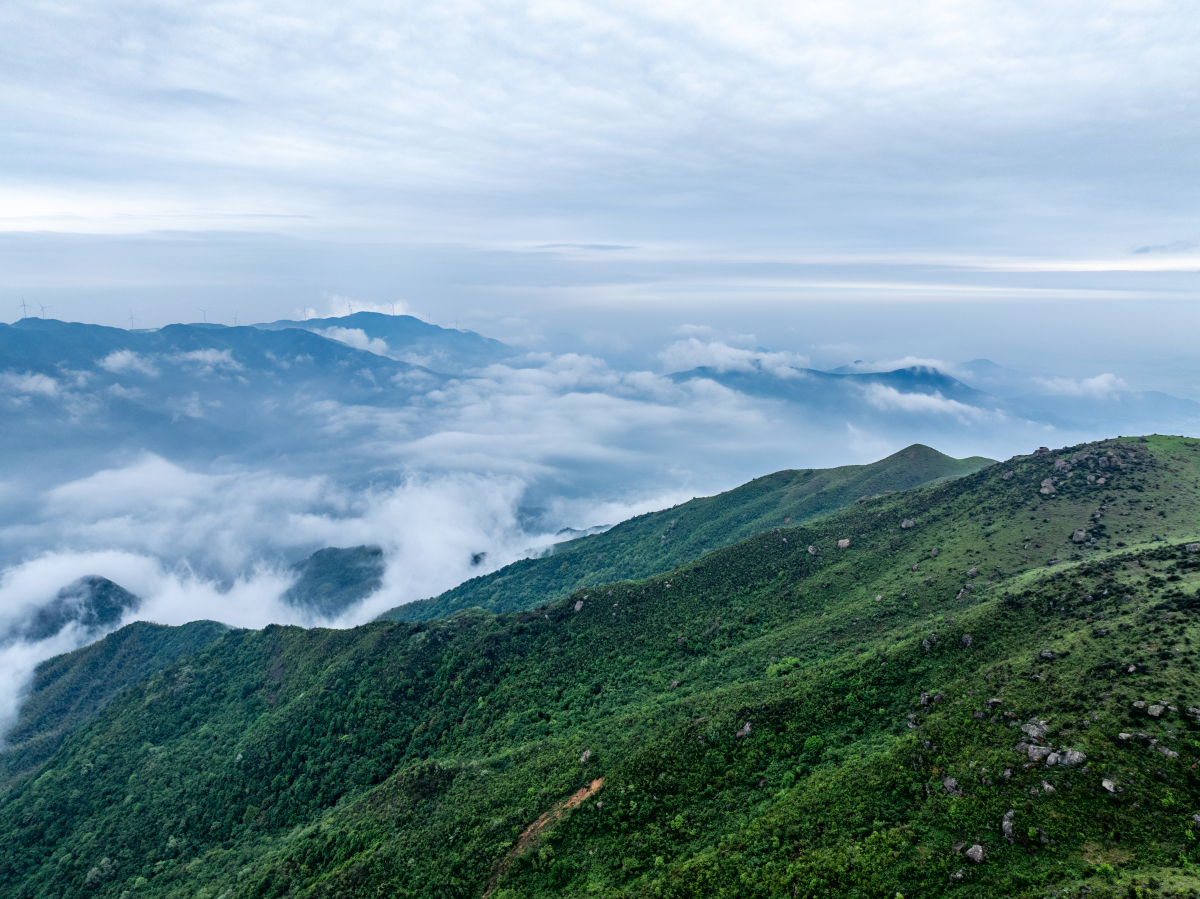 罗霄山脉主峰图片