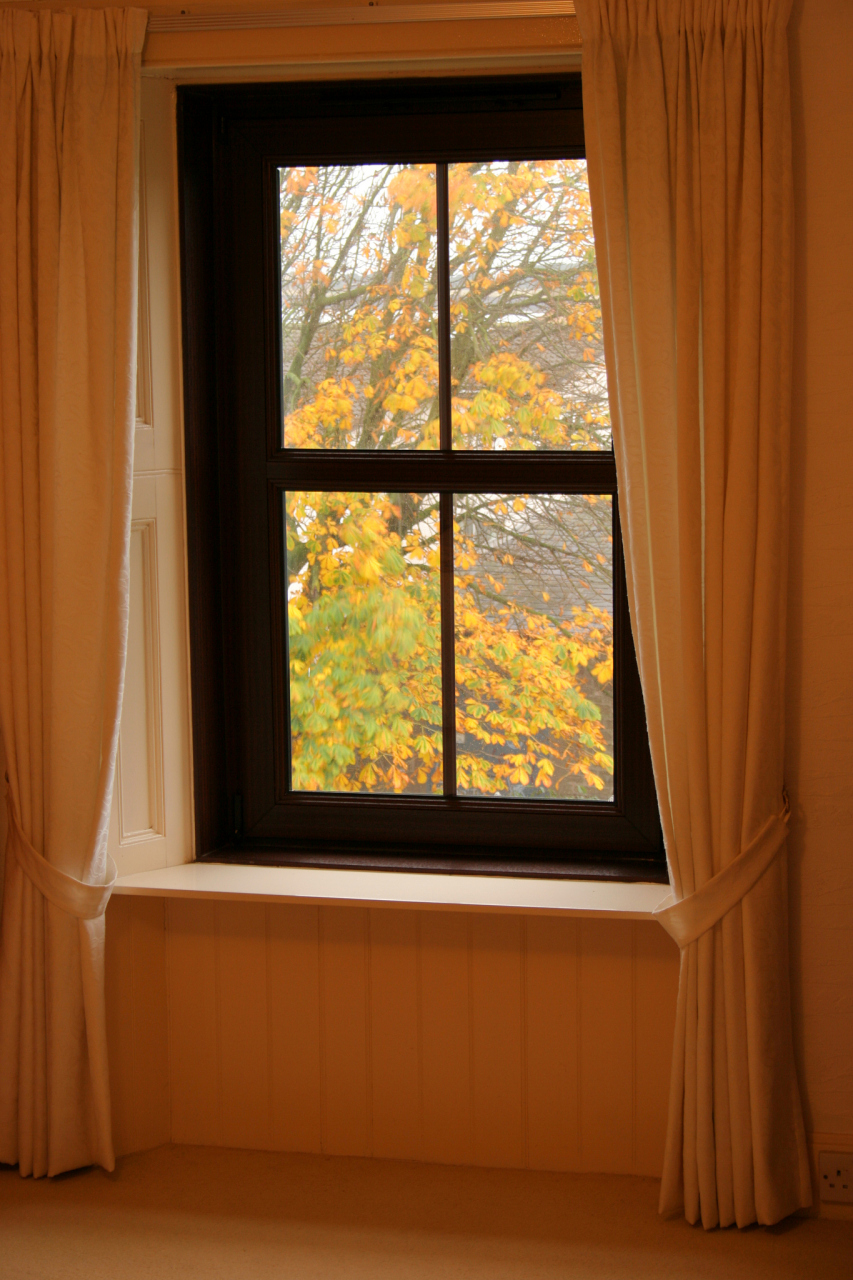 在这个寒冷的冬日里,阳光显得格外珍贵