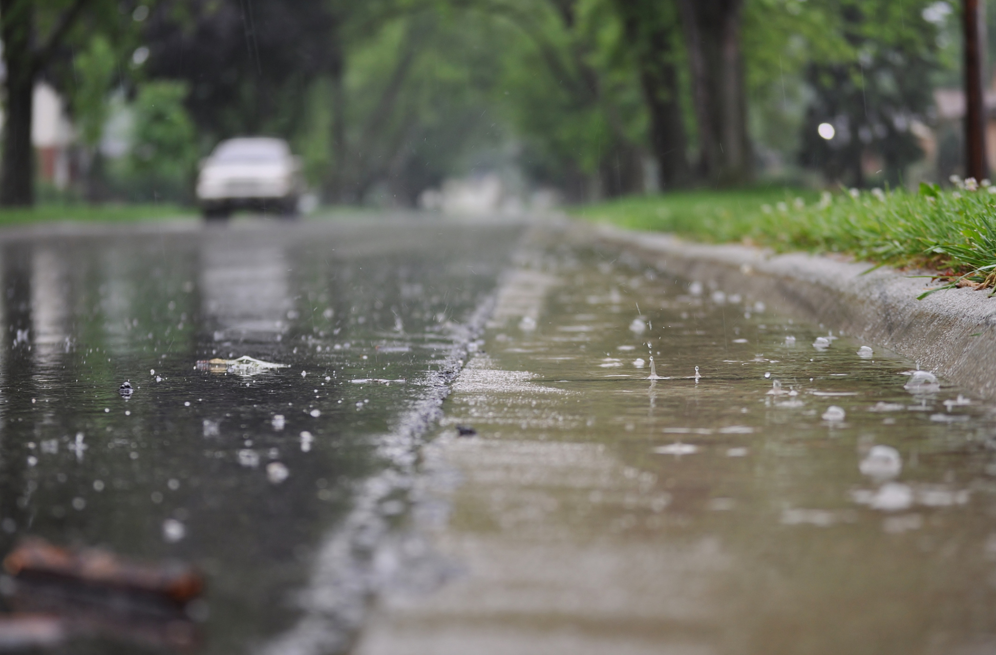 雨后的小河图片