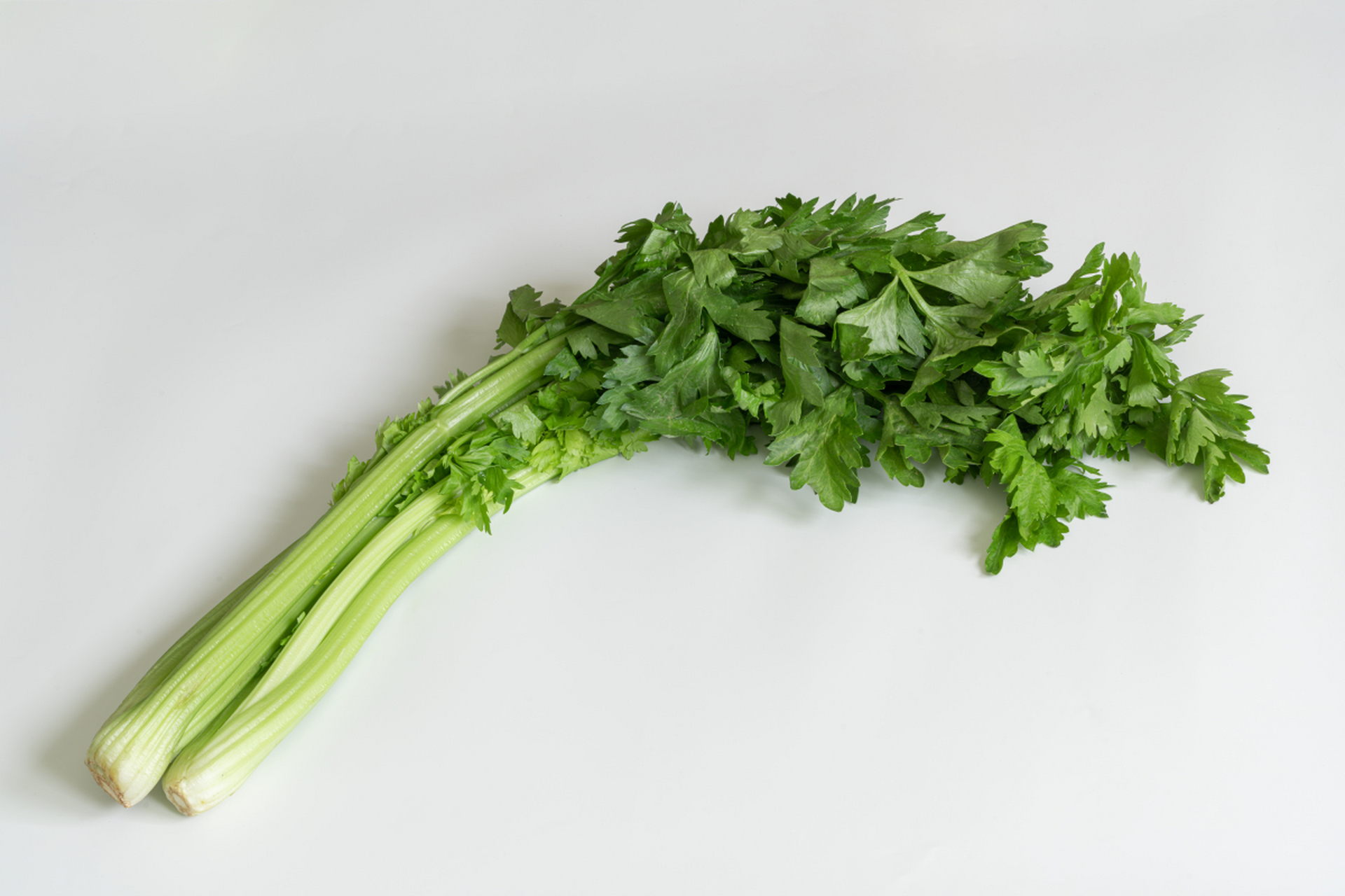 荷兰芹#又称香芹,是一种绿色蔬菜,营养丰富,富含硒和铁等微量元素.