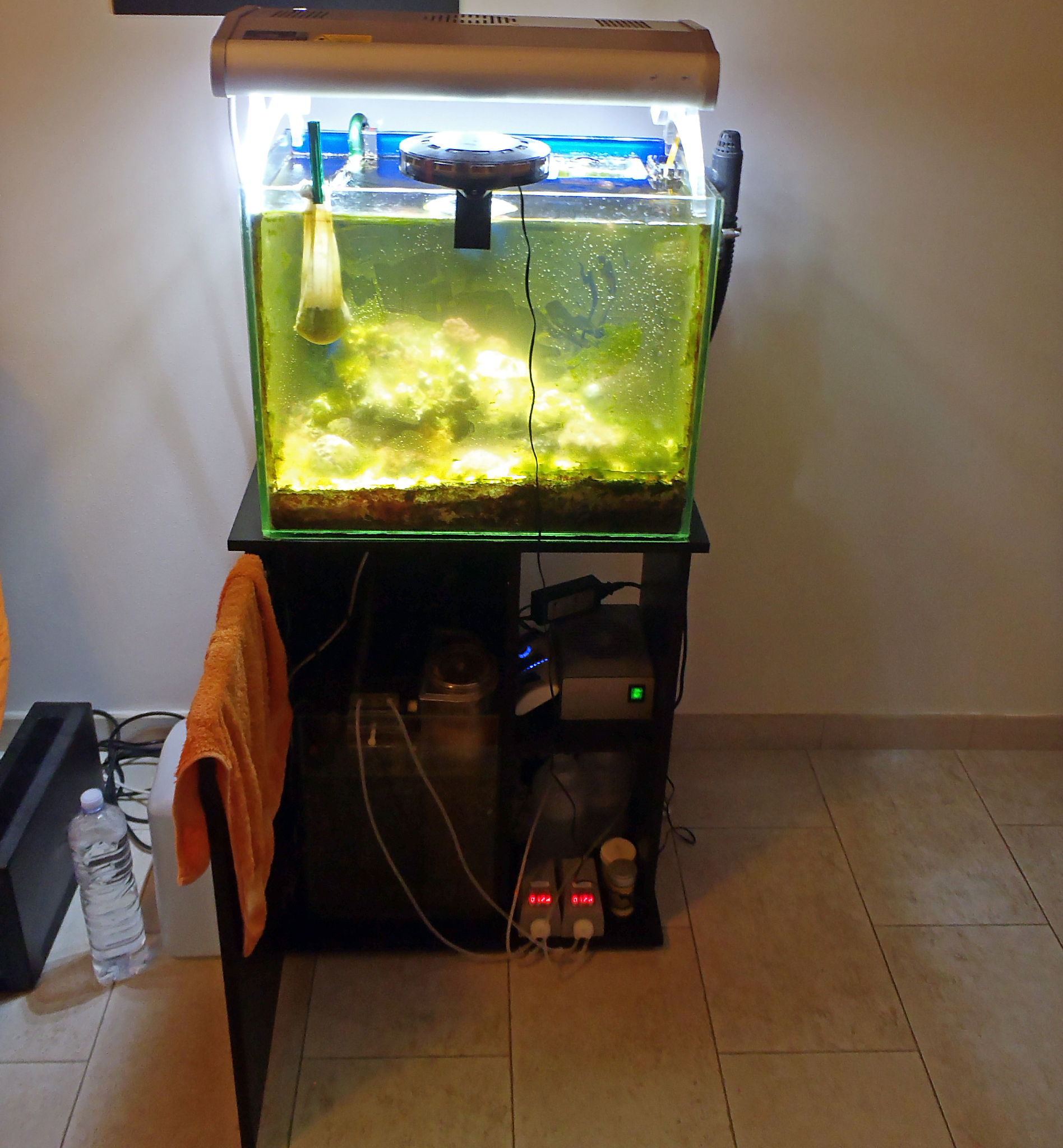 如何开缸养水?新手必看!