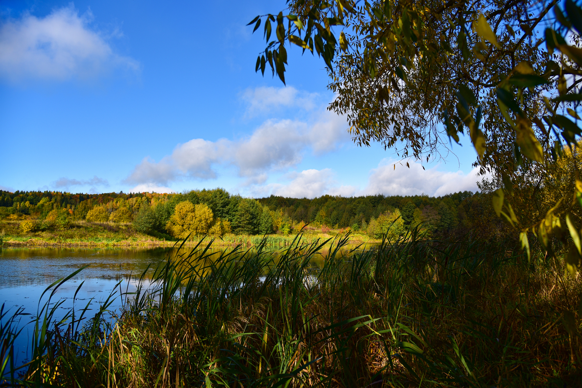 伊春市位于黑龙江省东北部,以汤旺河支流伊春河得名.