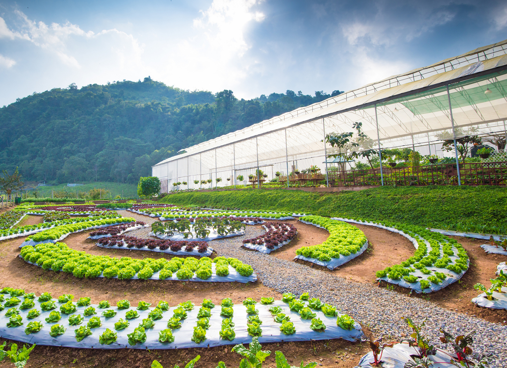 [原文:中国农业观光园行业市场运.