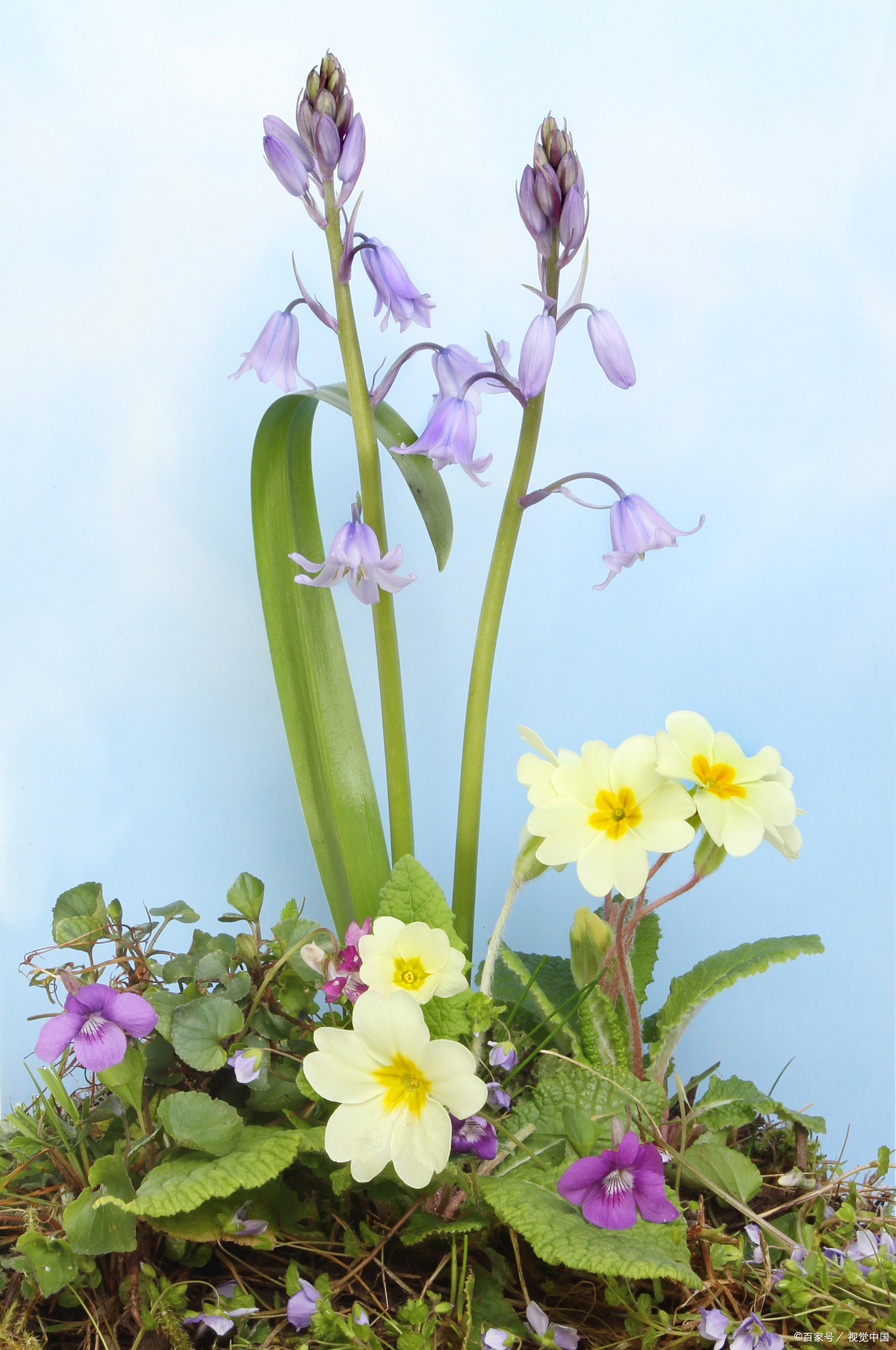 人性的丑陋之处就在于——