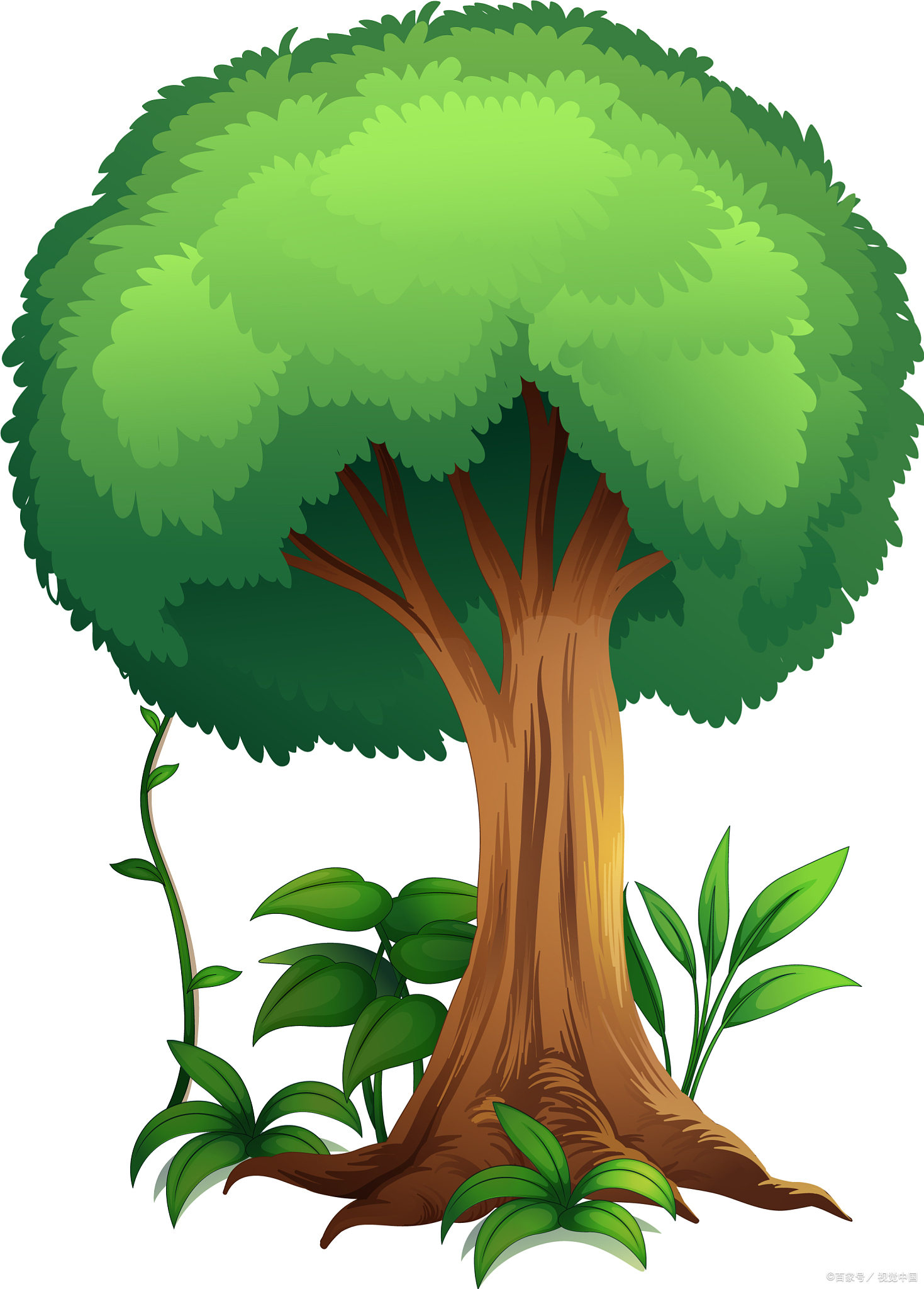 2,第二件:不要长期熬夜