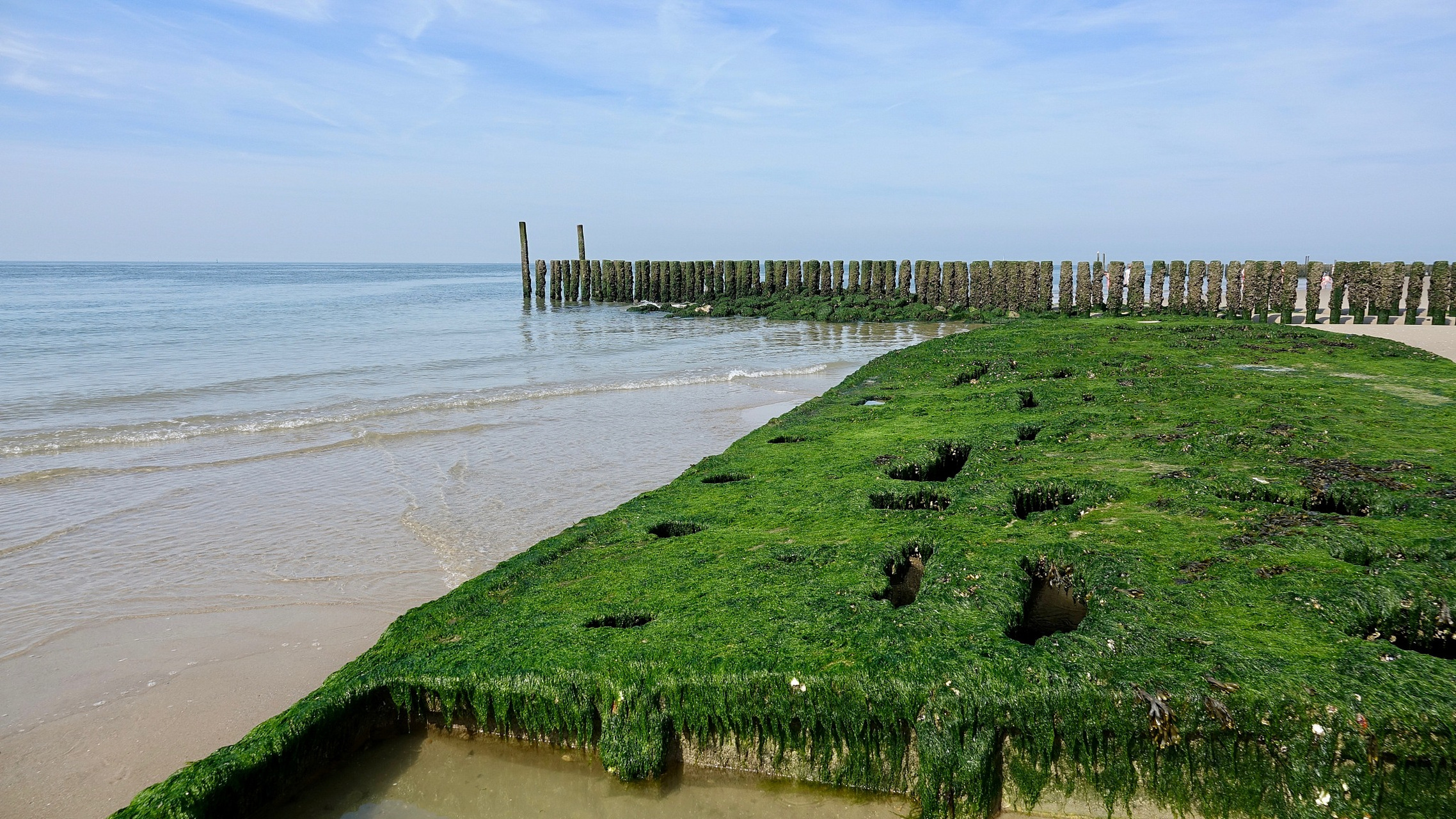 靖江旅游景点包括马洲公园,牧城生态园,孤山风景区,马洲岛等,这里有着