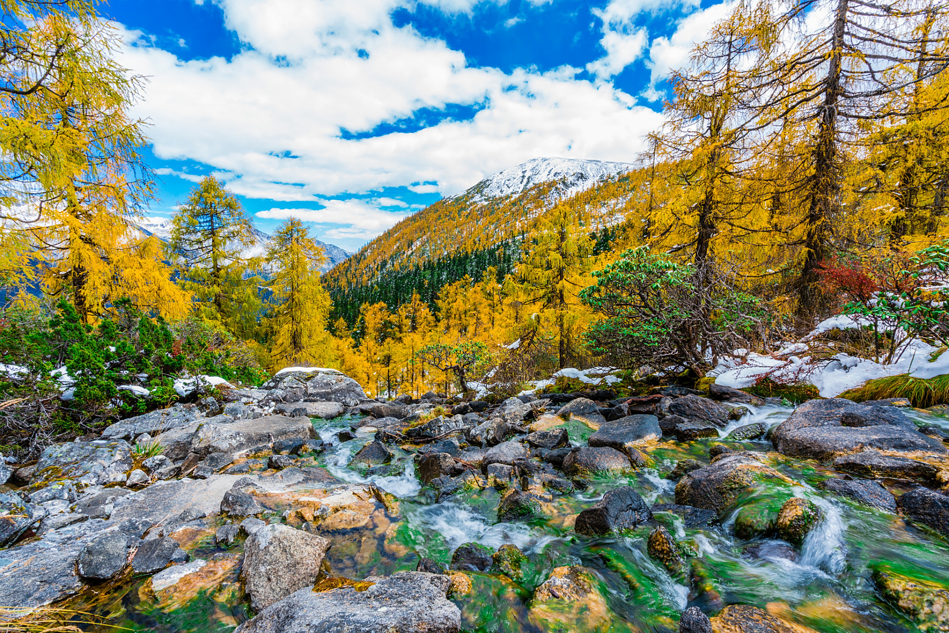 党岭位于四川省甘孜藏族自治州丹巴县西北部的边耳乡境内,距县城68