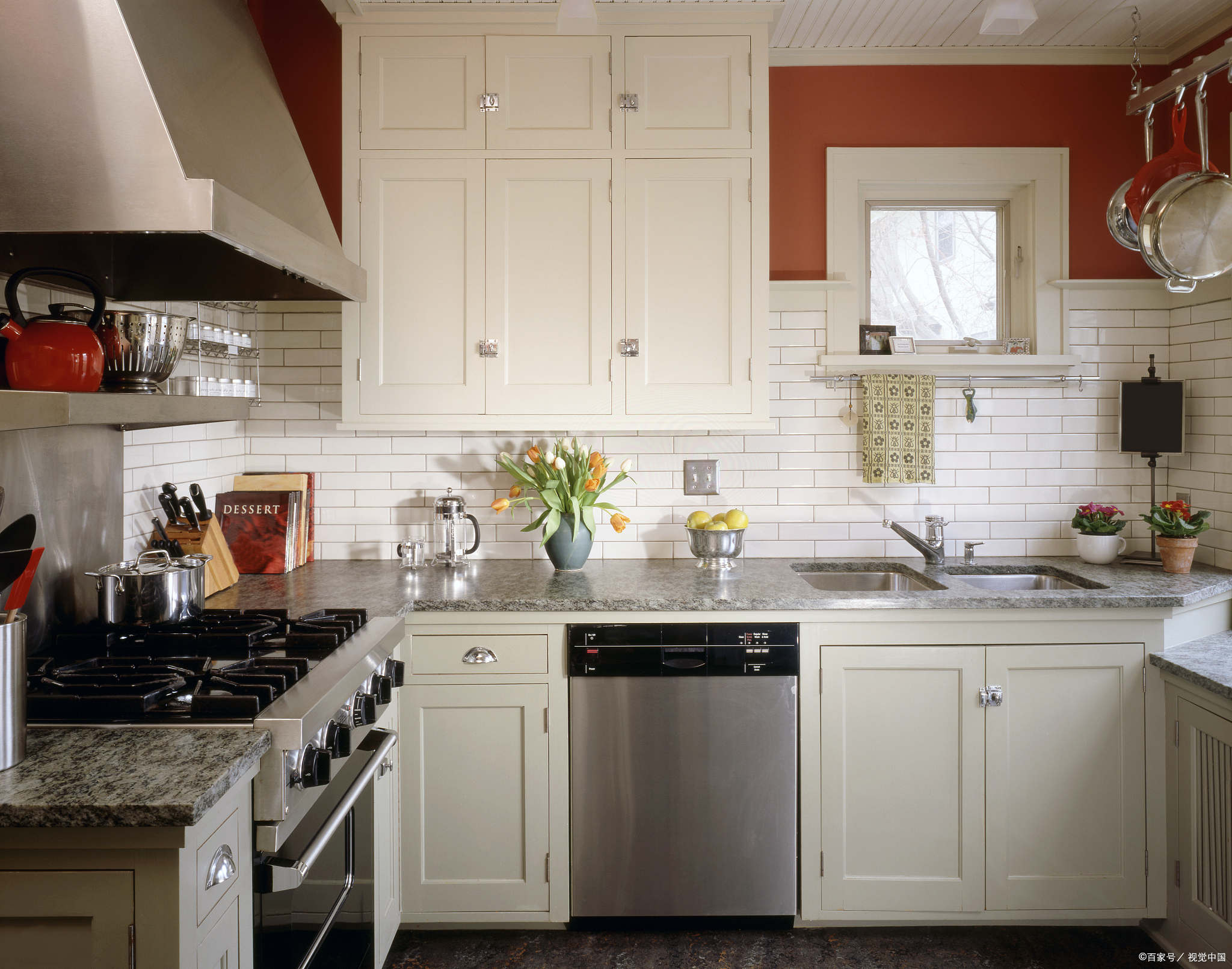 多数人不知晓"蟑螂"天敌是啥?秋季换用小巧招,能解决蟑螂问题