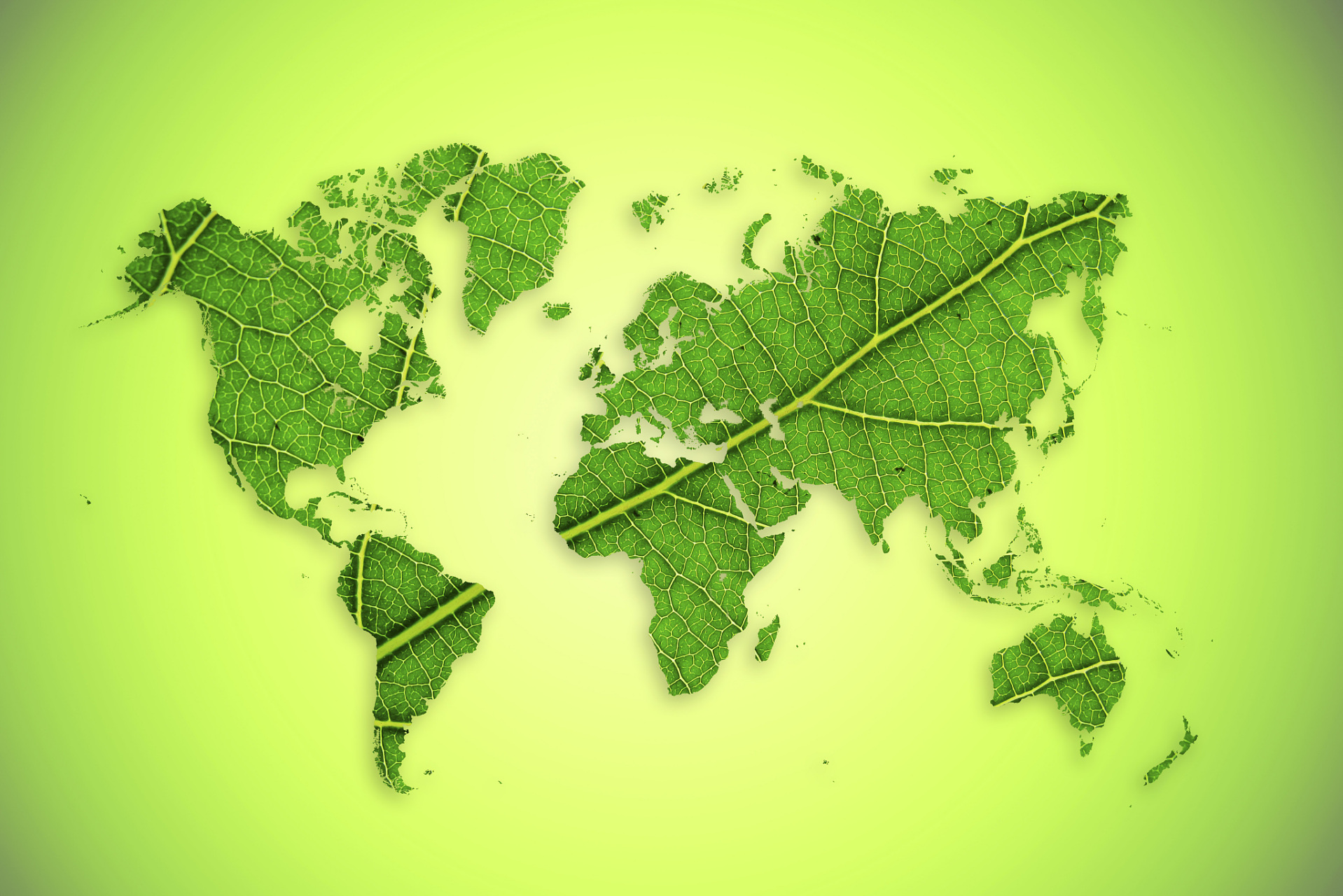 看世界地图,发现一个有趣的现象 国土面积最大的四个国家,分别是