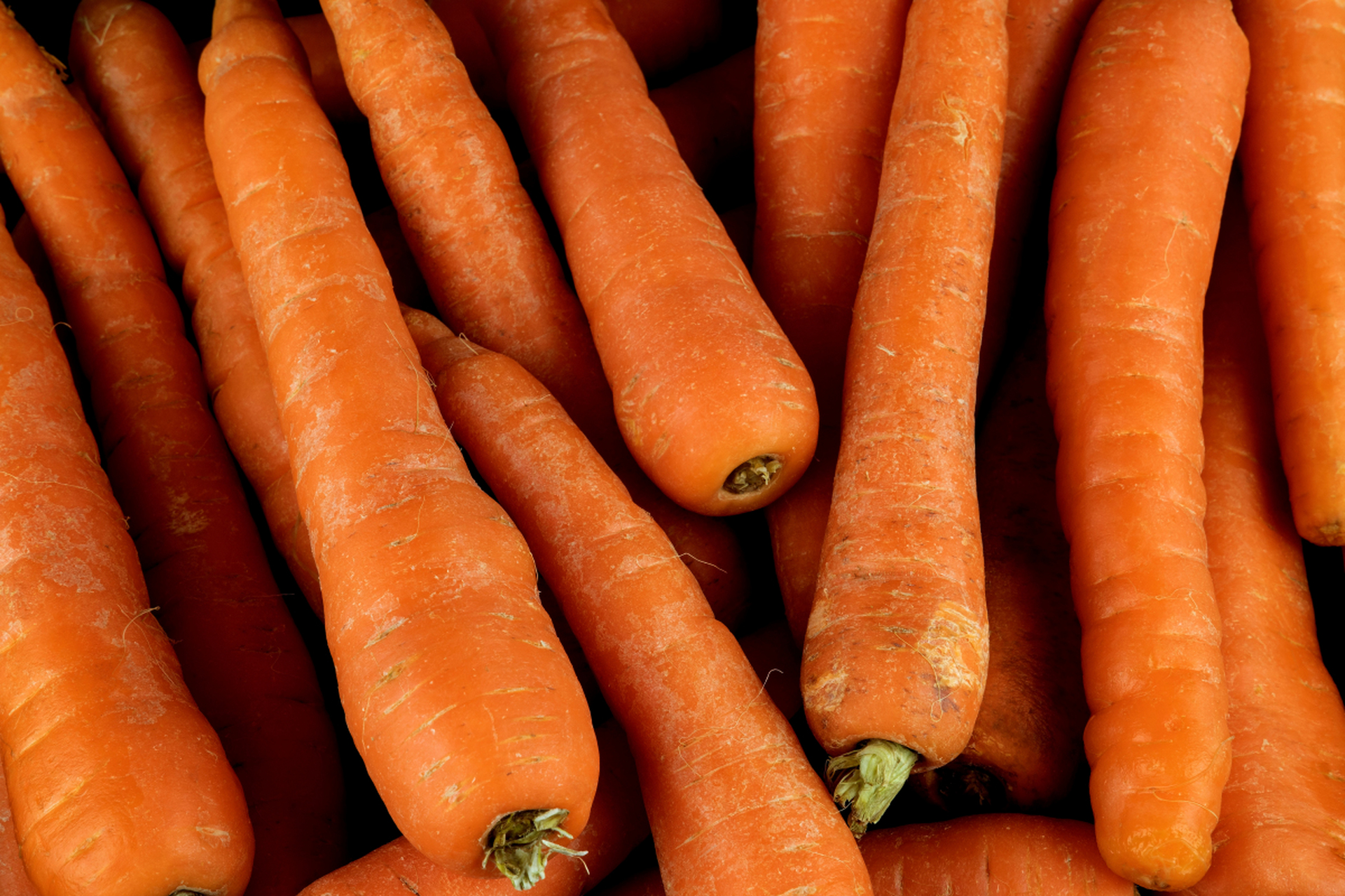 秋天不吃肉也要吃的蔬菜: 胡萝卜是秋天时令的蔬菜之一,含有丰富的