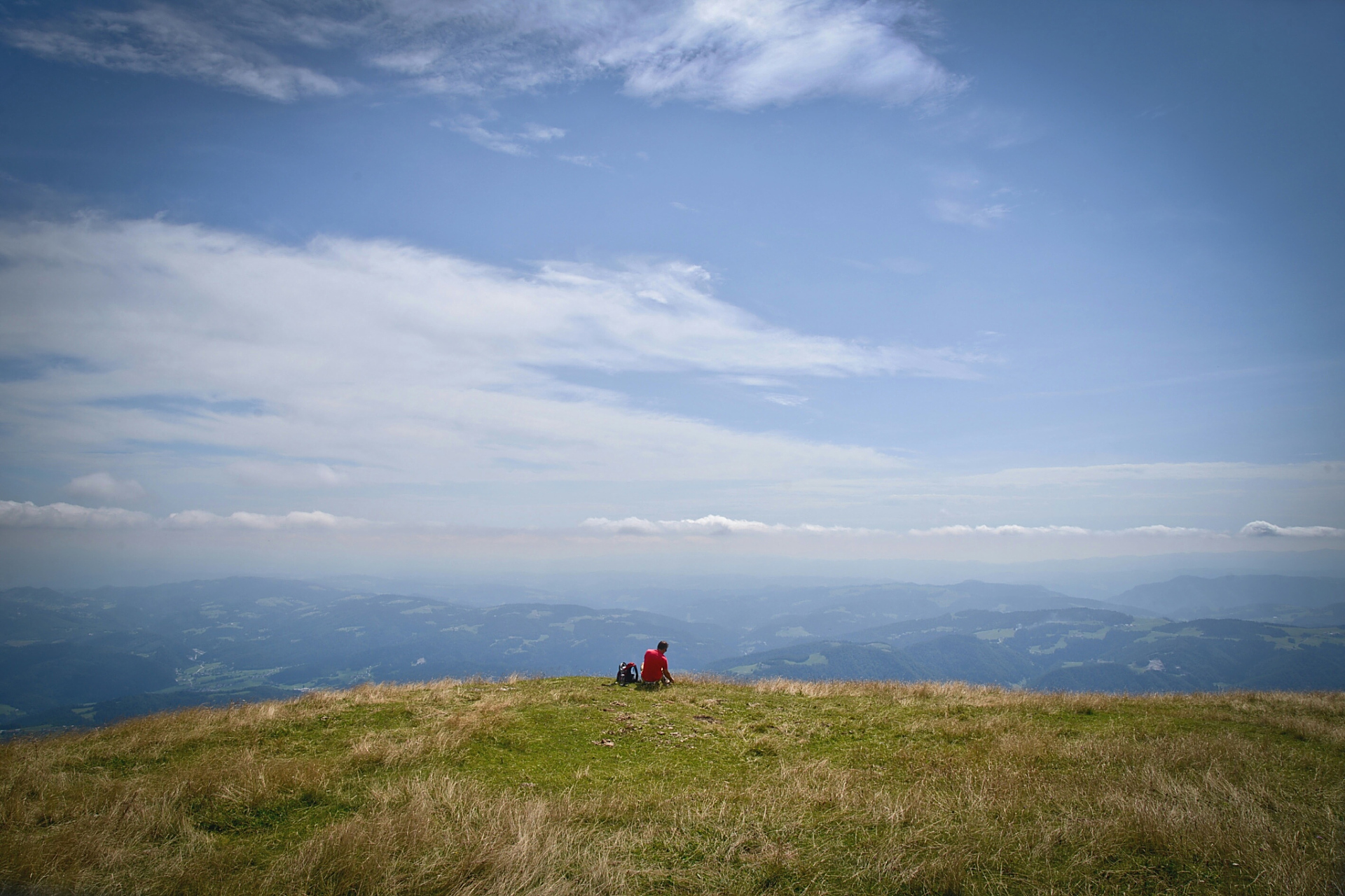 我听到了风的呼啸,水的潺潺,鸟的啼鸣,树的沙沙