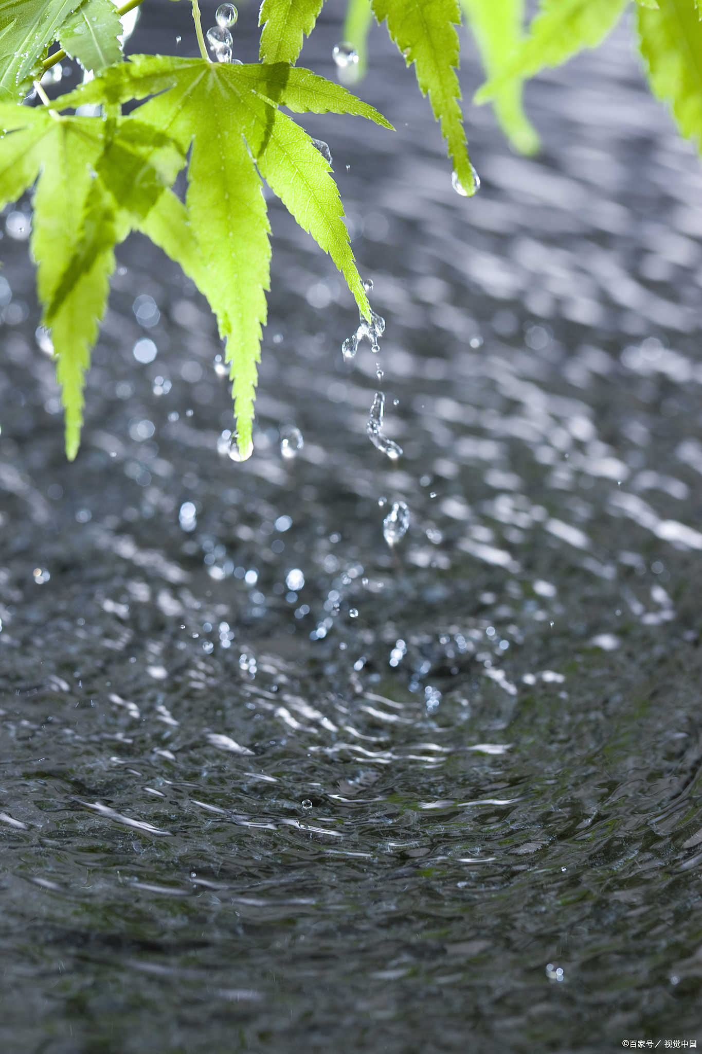 " 蒋捷《虞美人·听雨》 这是一场经历了岁月洗礼的夜雨,倾听着雨声的