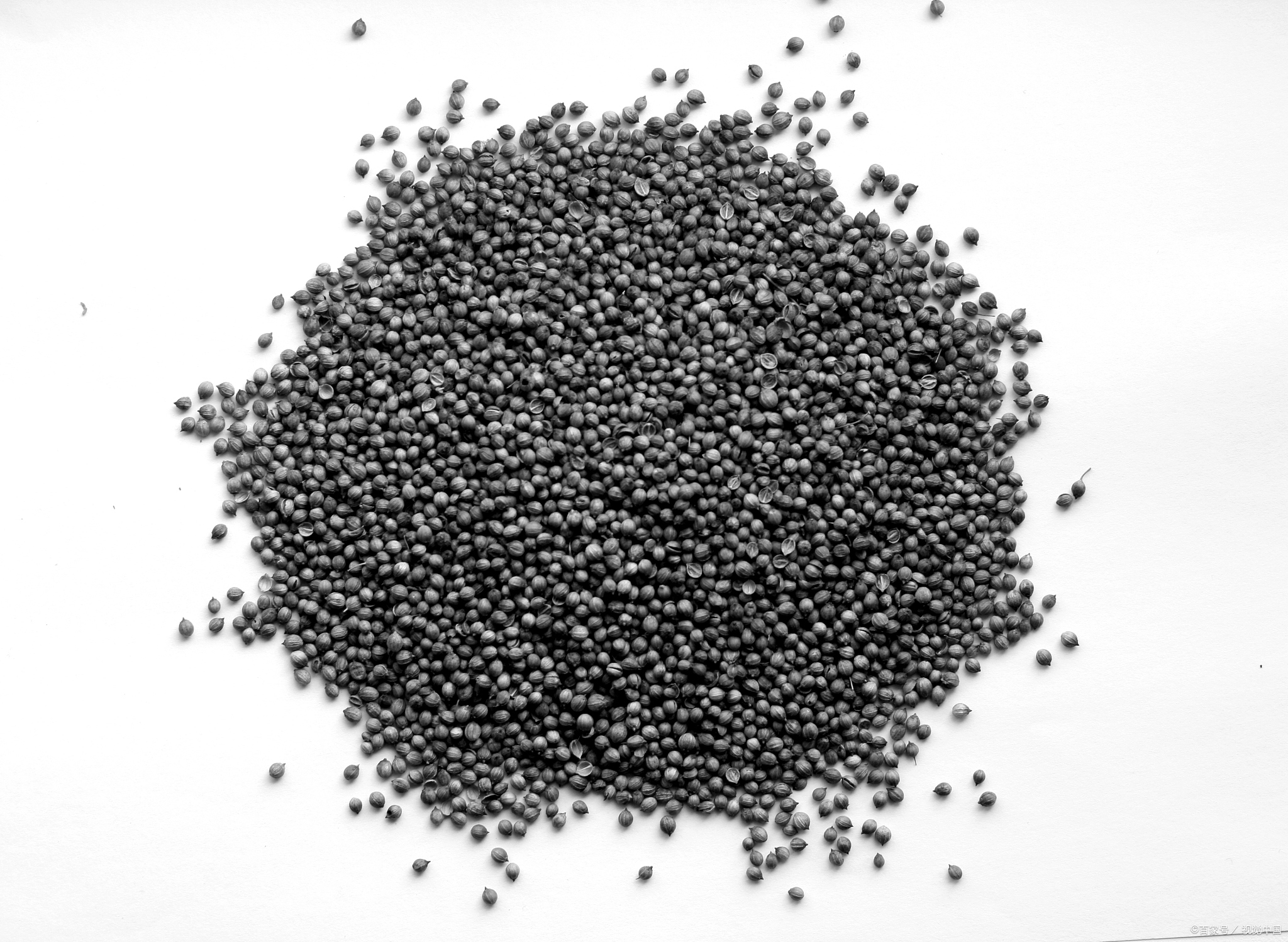 废铱催化剂回收方案:高效回收铱元素