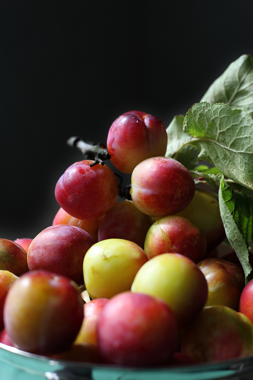 李子圆润饱满,玲珑剔透,口味甘甜,是人们最喜欢的水果之一