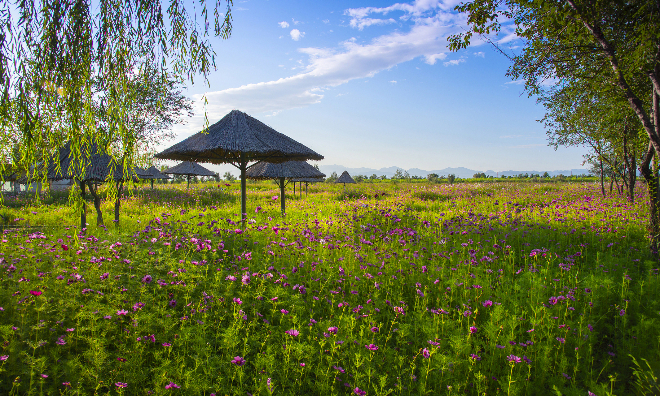 花湖风景区在哪里图片