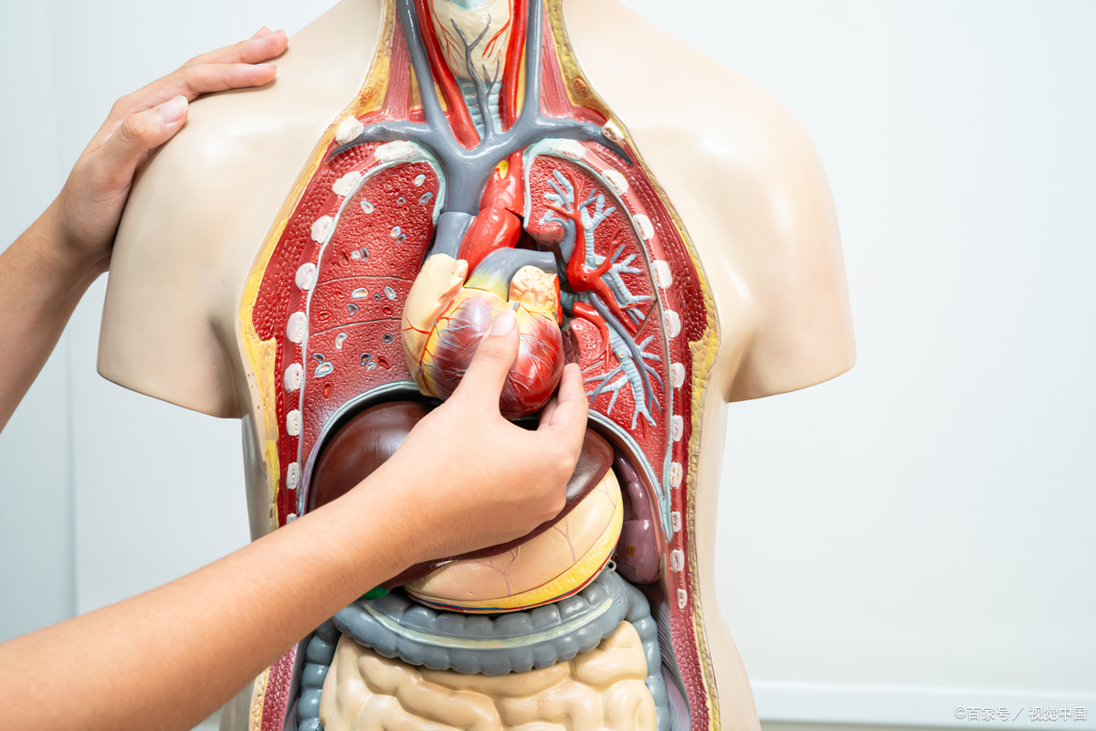 左肺上叶少许间隔旁型肺气肿可能与长期吸烟,空气污