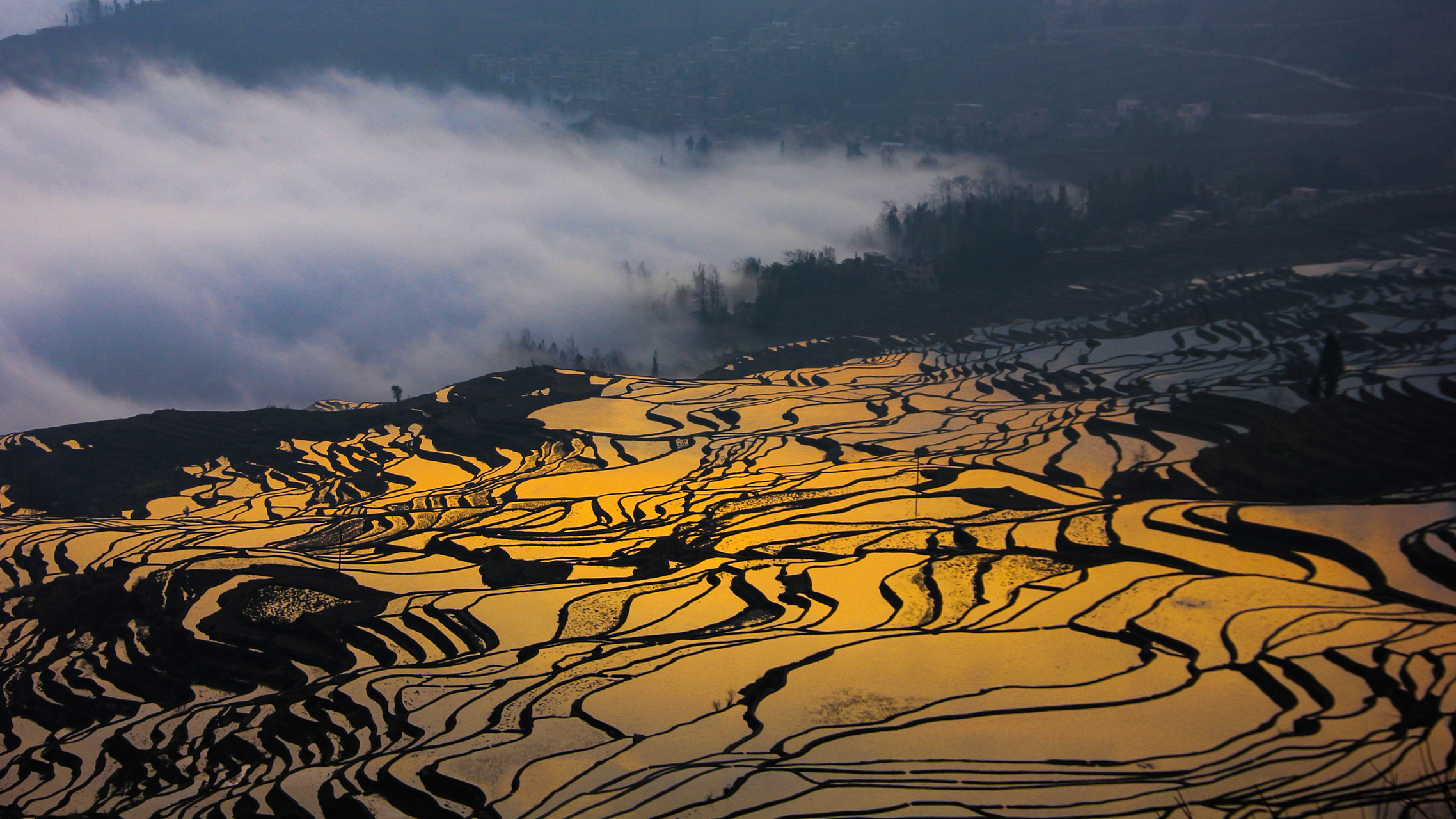 红河哈尼梯田是世界文化遗产,梯田如诗如画,呈现出壮观的景象.