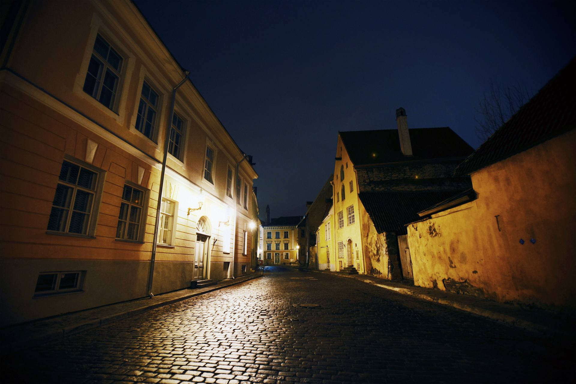 黑夜街头,恐怖袭击的瞬间 #恐怖故事 那是一个安静的夜晚,月光下的