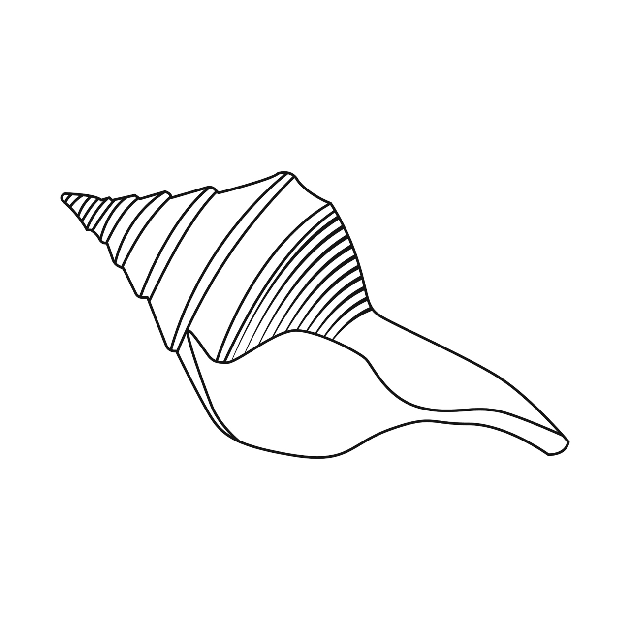 快来欣赏一组小海螺简笔画吧