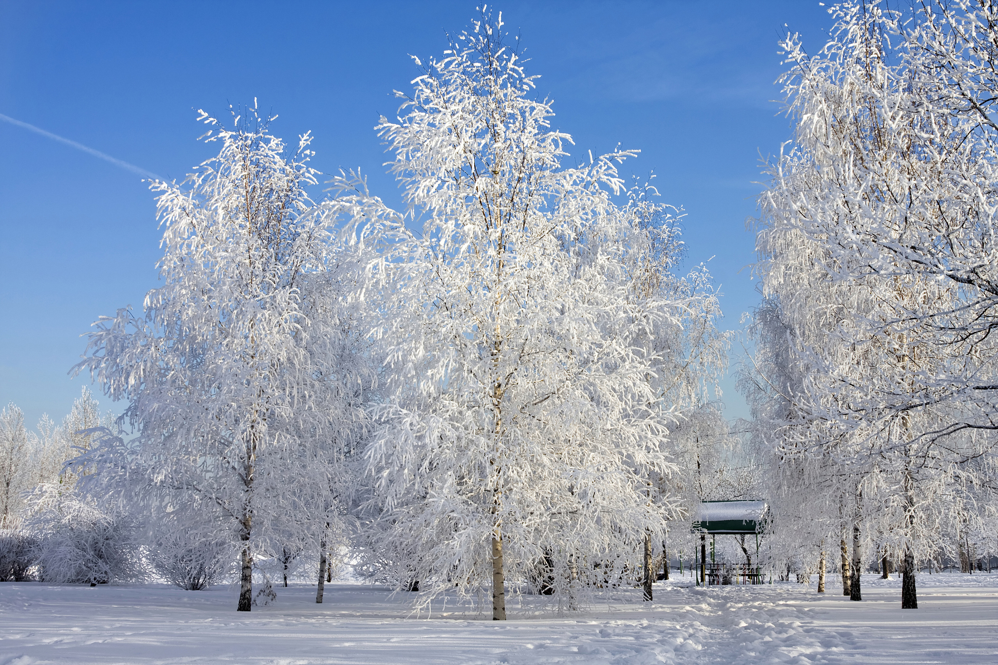 世界冰雪景观图片