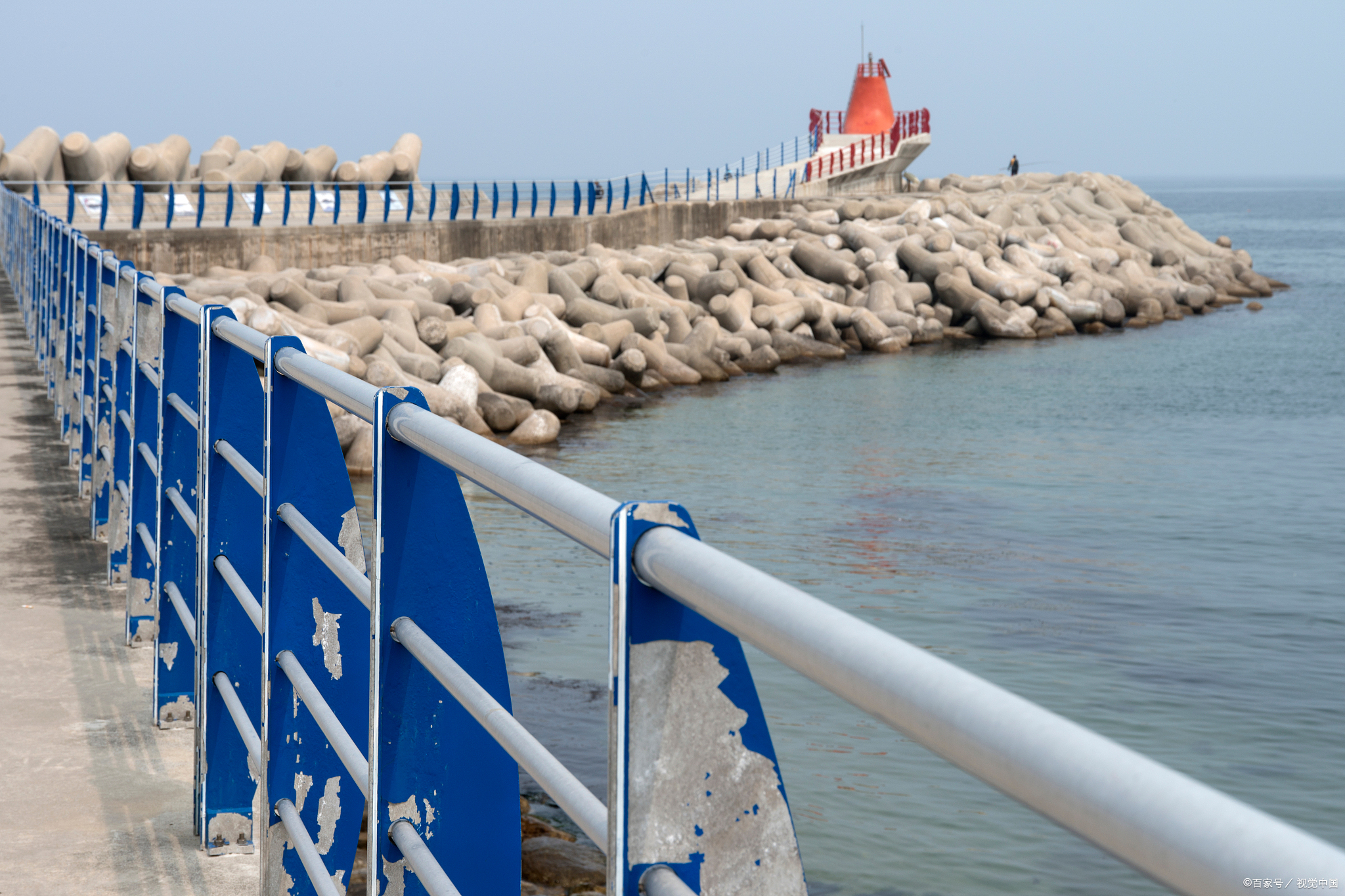 鲅鱼圈仙人岛赶海攻略